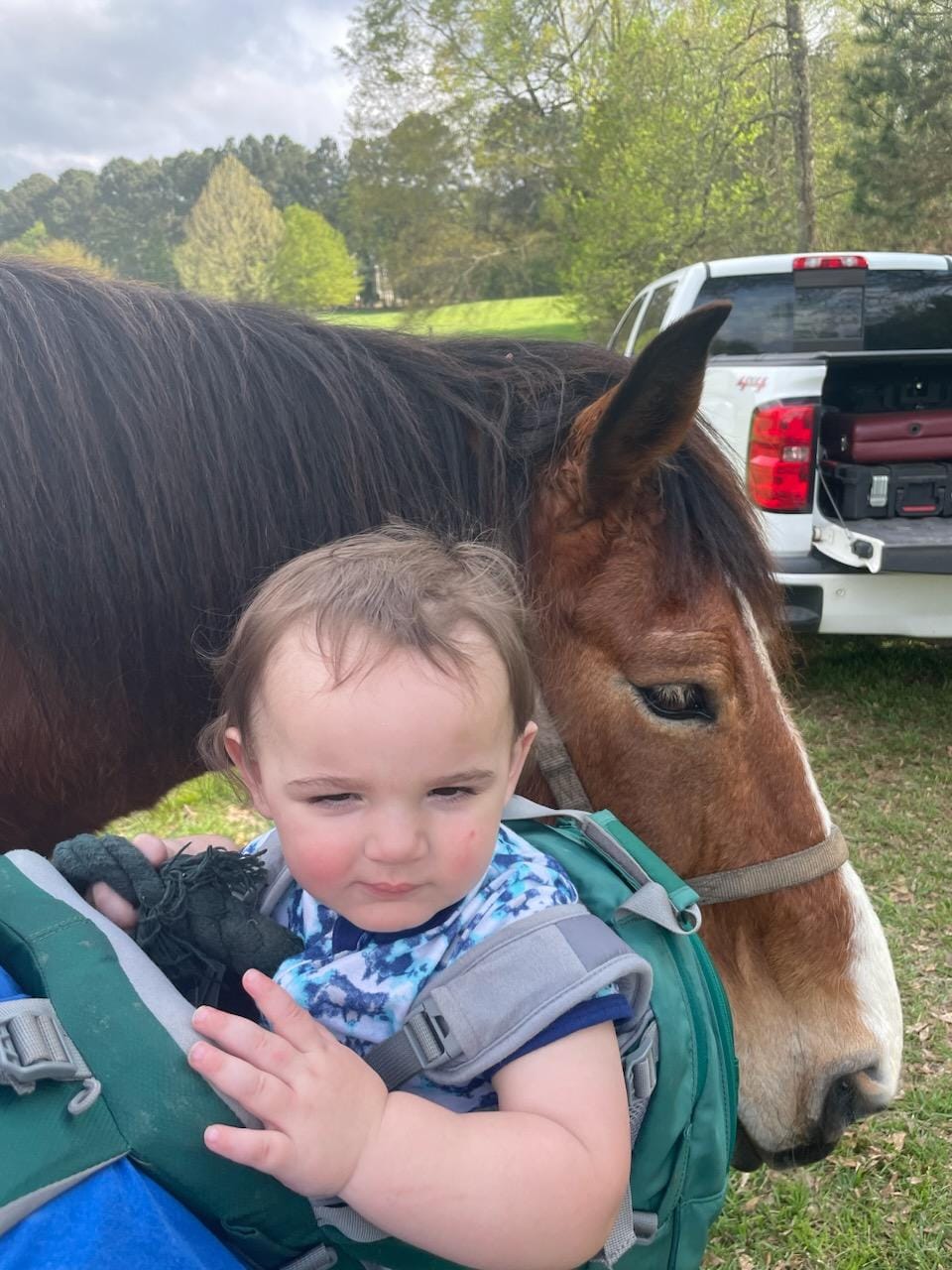 Red Arrow Ranch | Lilburn GA