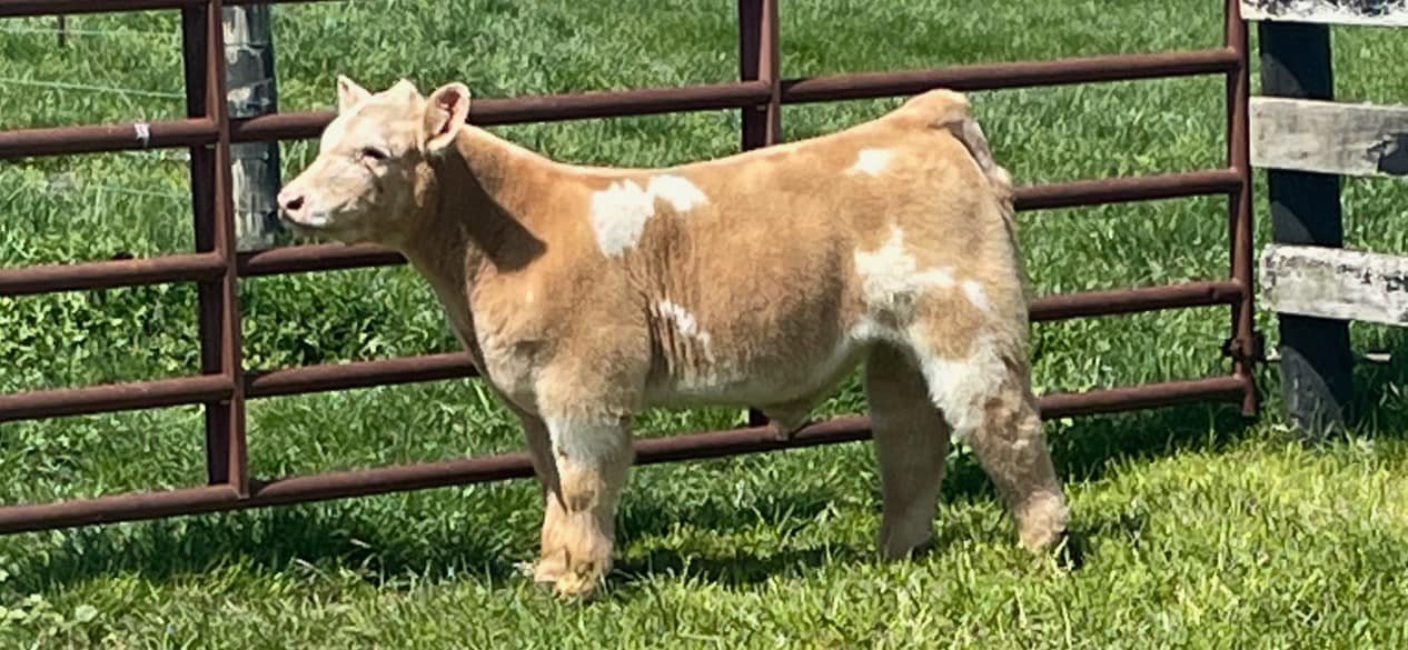RVC Farms | Cedarville OH