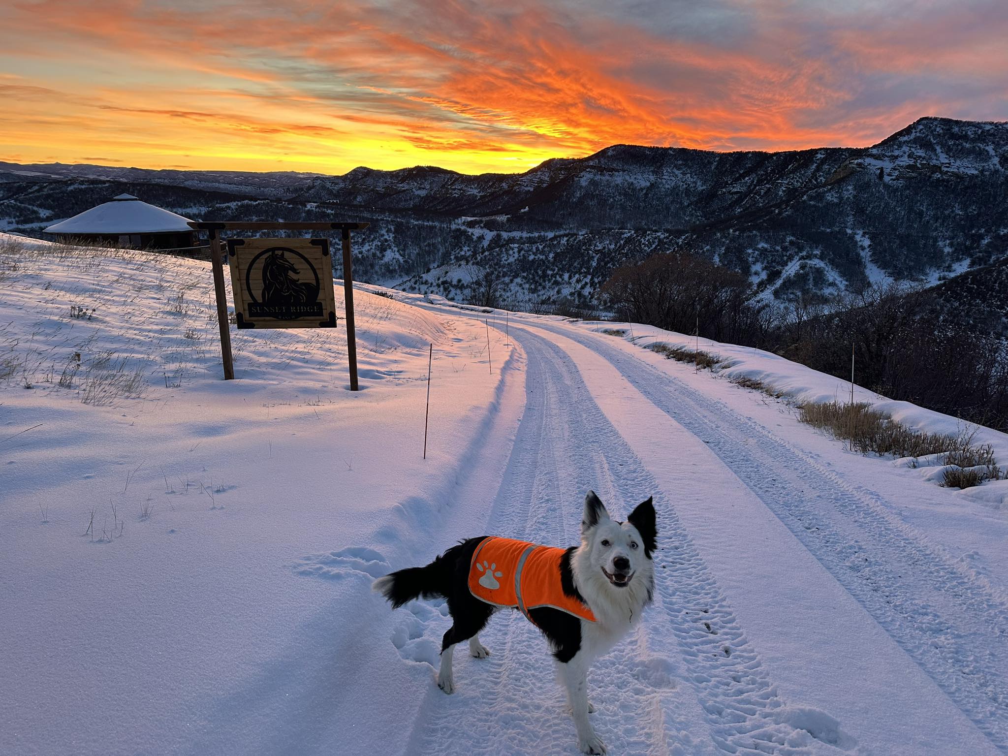 Sunset Ridge Ranch | Steamboat Springs CO