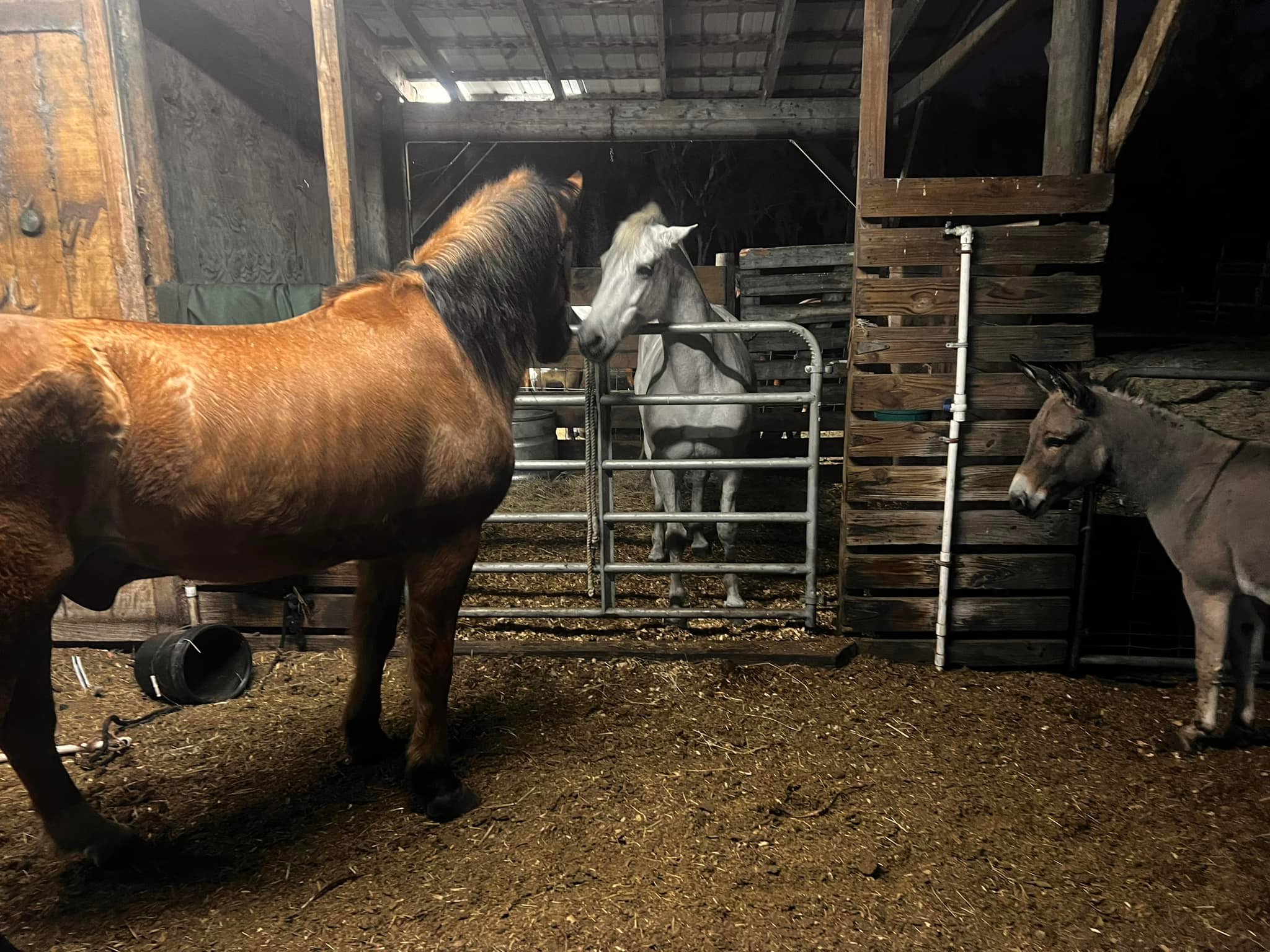 Ricky's Ranch | Okeechobee FL