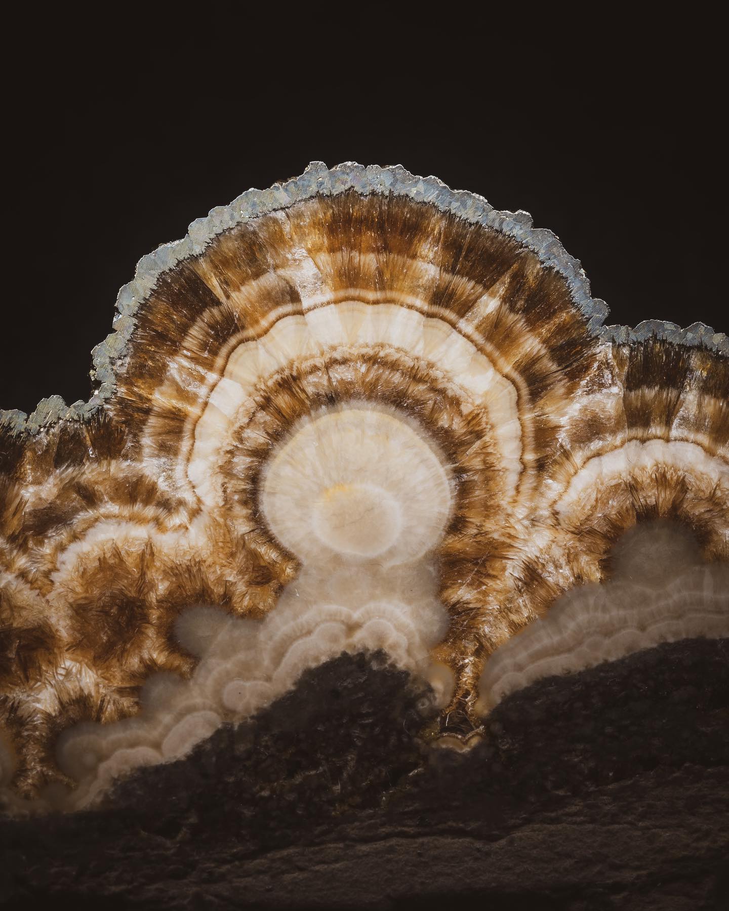 A breathtaking Marcasite +... - Geology Rocks Pittsburgh