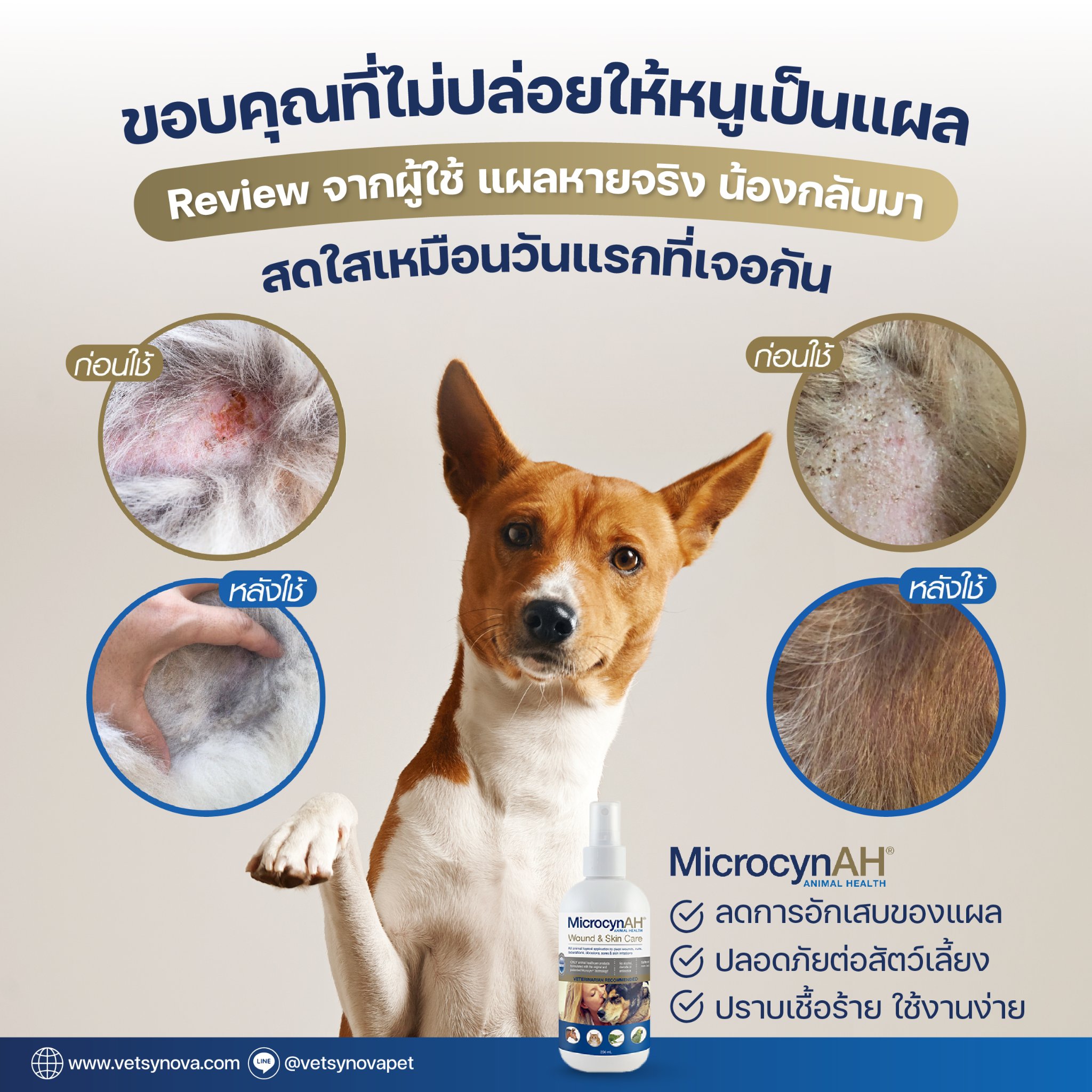 จากแผลวันนั้น สู่คำขอบคุณในวันนี้ 🐶... - Microcyn AH Thailand