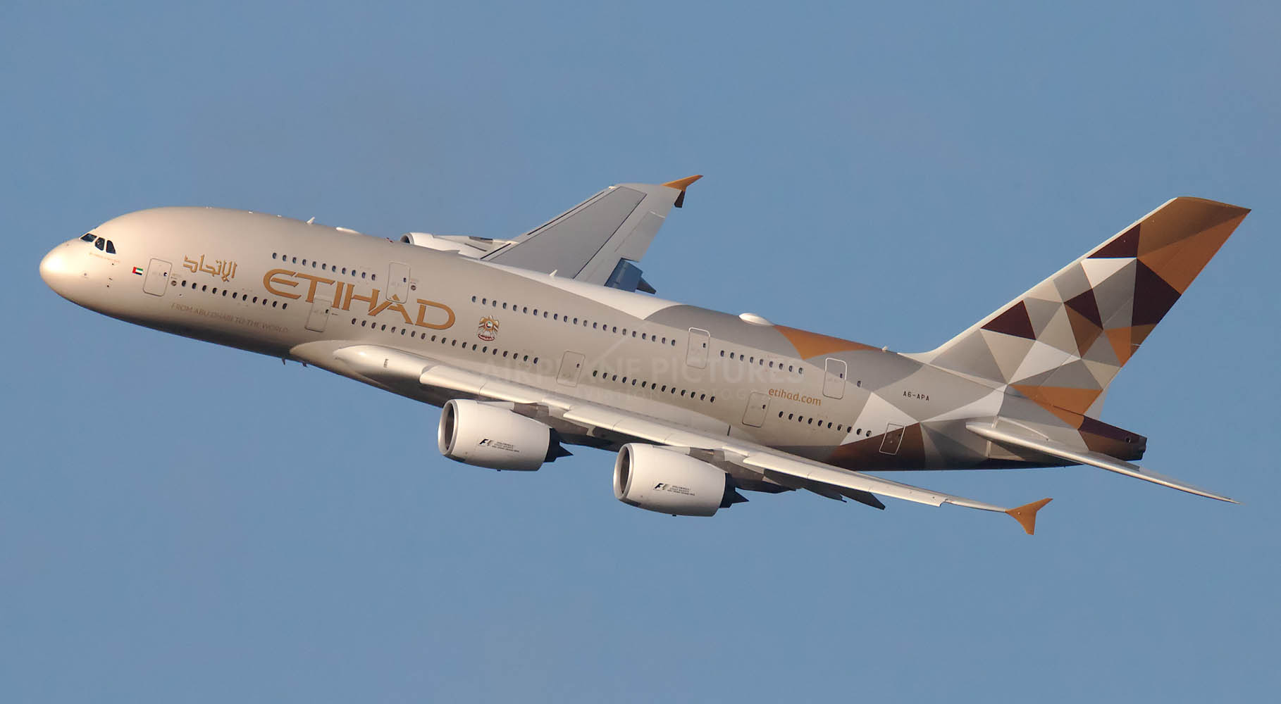 Fly USA Orange Wings... - Fly USA Orange Wings Aviation