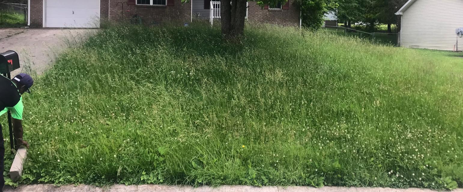 On TIme Lawn Care
