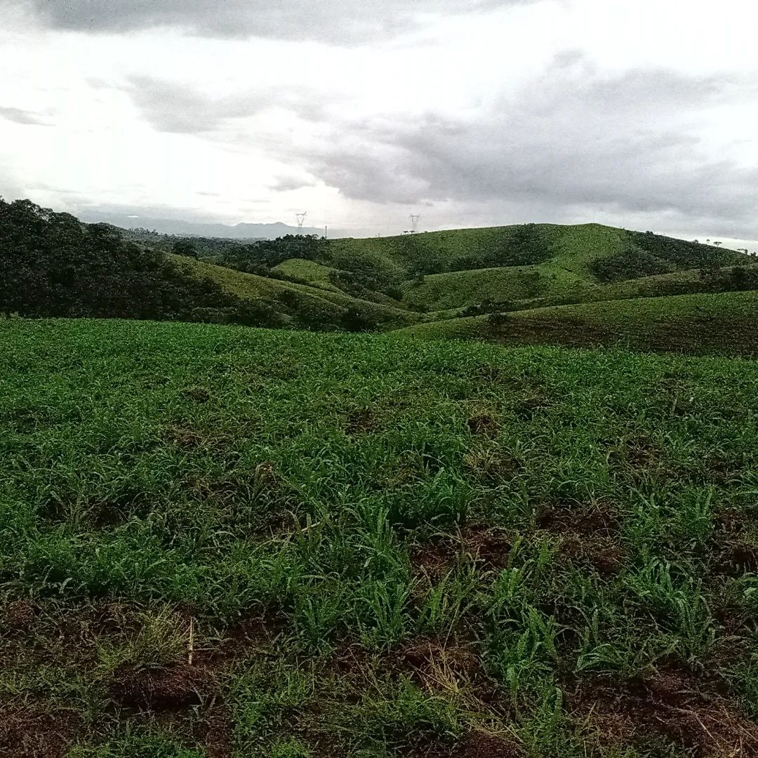 Colina Ranch | São José dos Campos SP