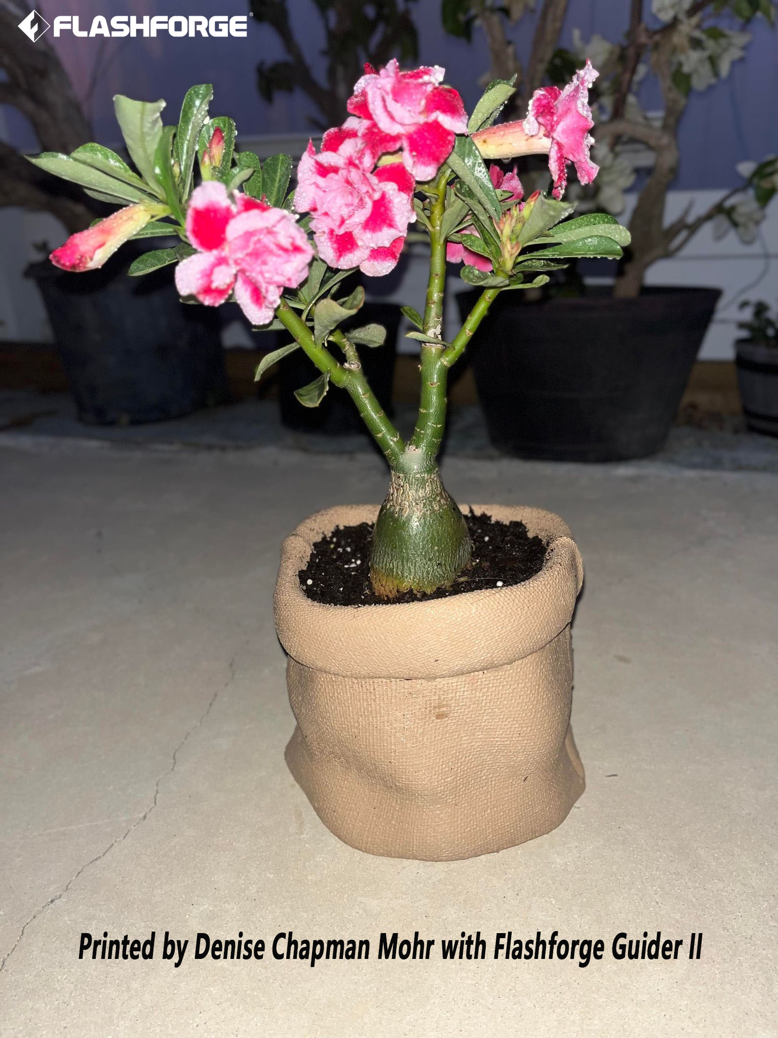 Flashforge - 👇👇 This 51 hours 1 minute print vase is... | Facebook