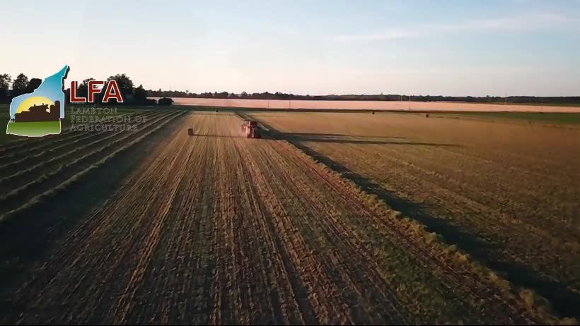Lambton Federation of Agriculture