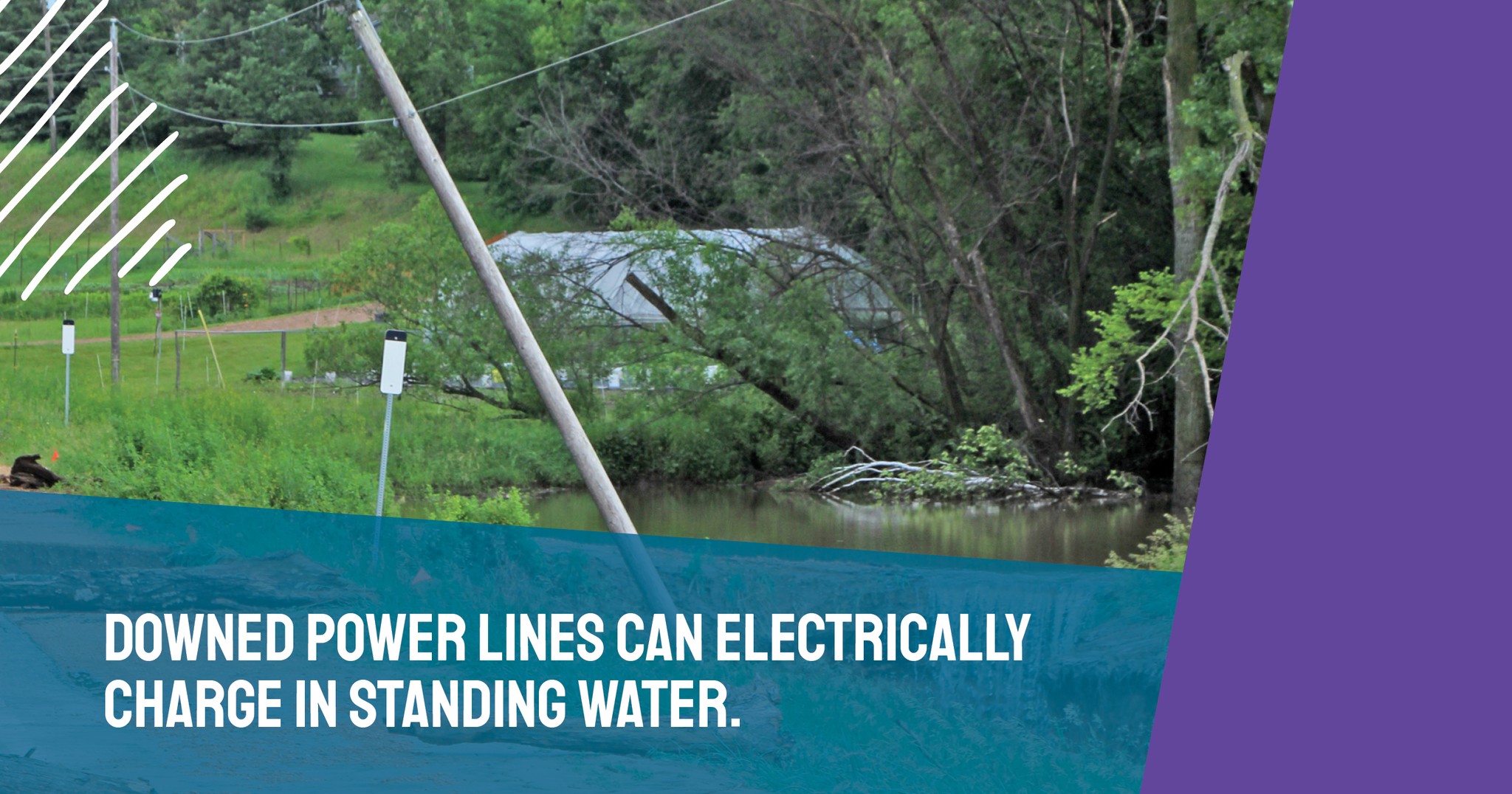 The more... - Beauregard Electric Cooperative, Inc. (BECi) | Facebook