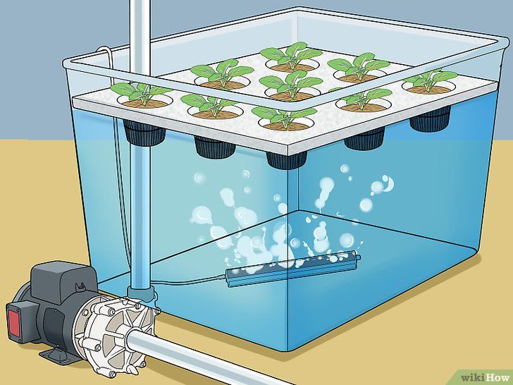 How its Works | a Deep Water Culture (DWC) hydroponic system, a popular ...