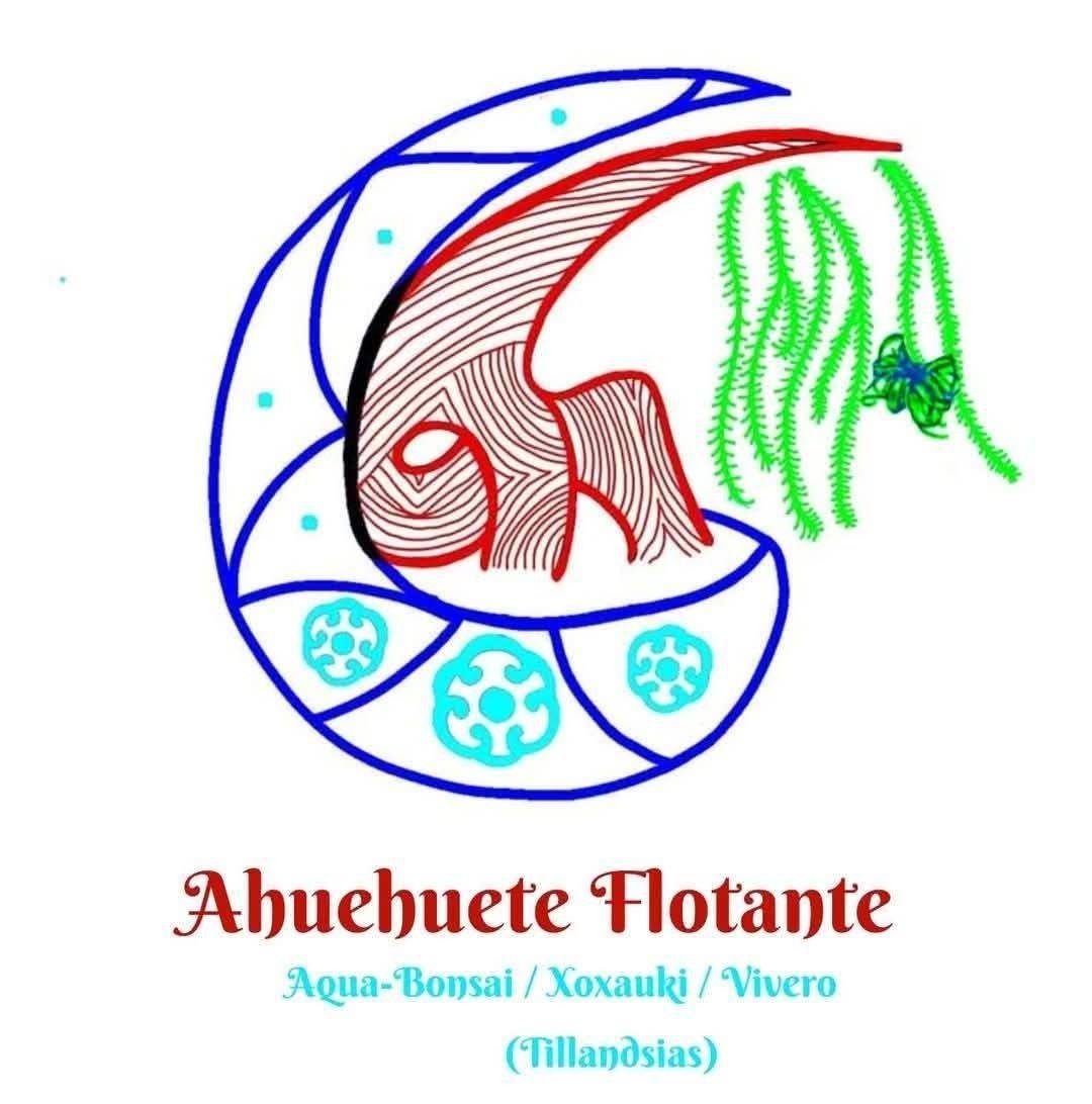 Ahuehuete Flotante