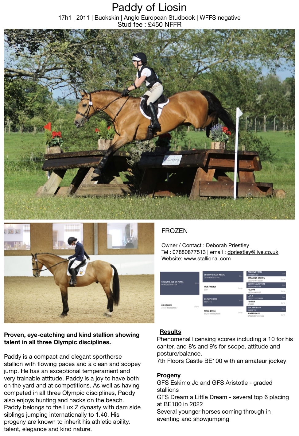 Stallions at Stud 2026 Pencos Actic King SHBGB Event Stallion