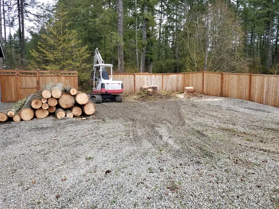 Highline Tree Removal Service | Southworth WA