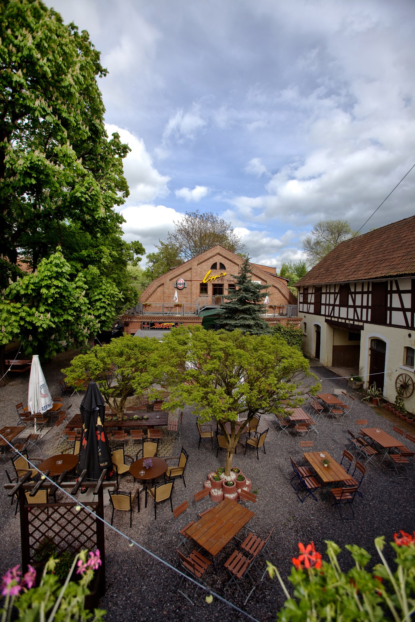Lippold Der Gasthof Grüner Baum Reels – MRFBK
