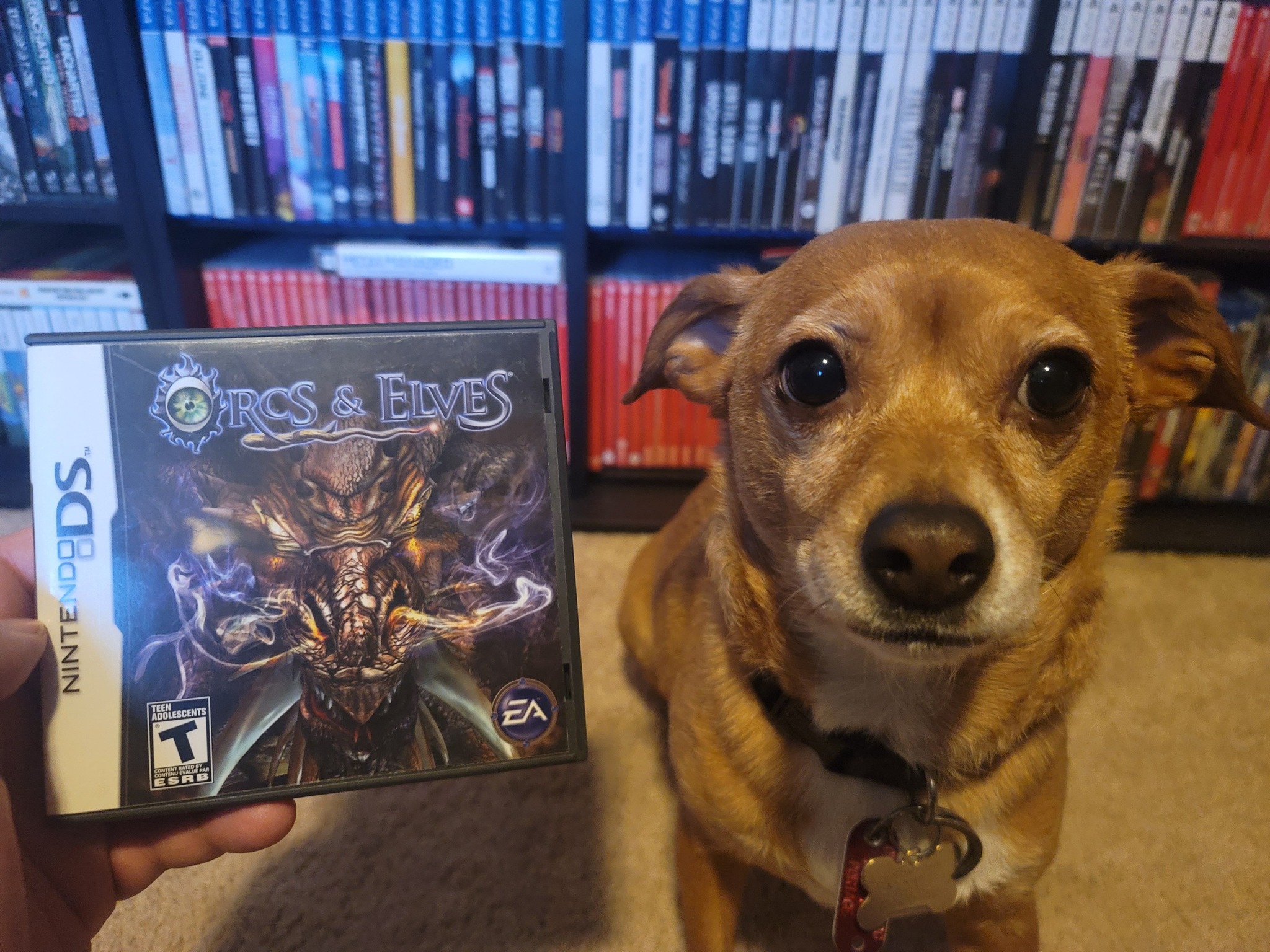 Orcs and Elves game, a hidden DS gem