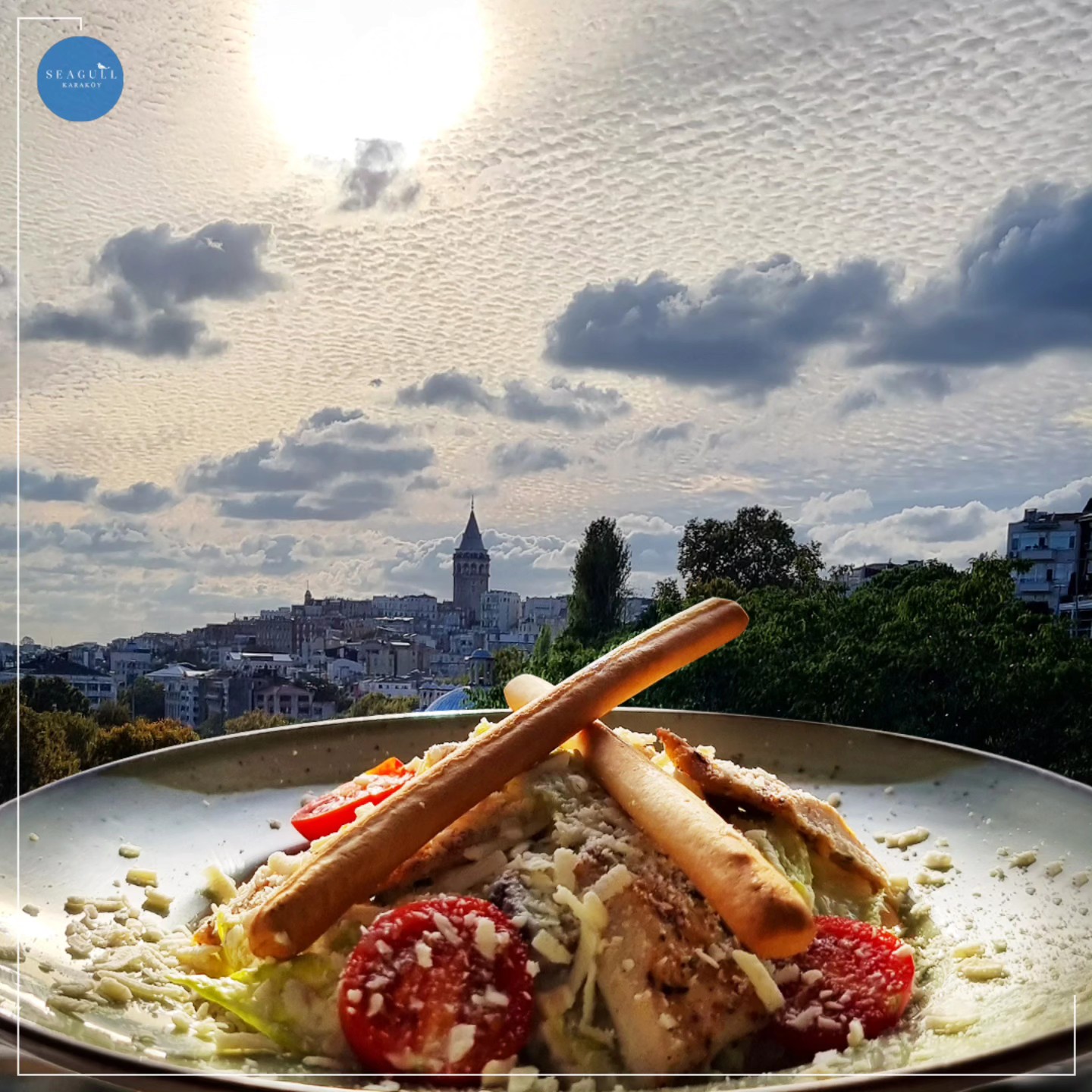 Seagull Karaköy | Istanbul