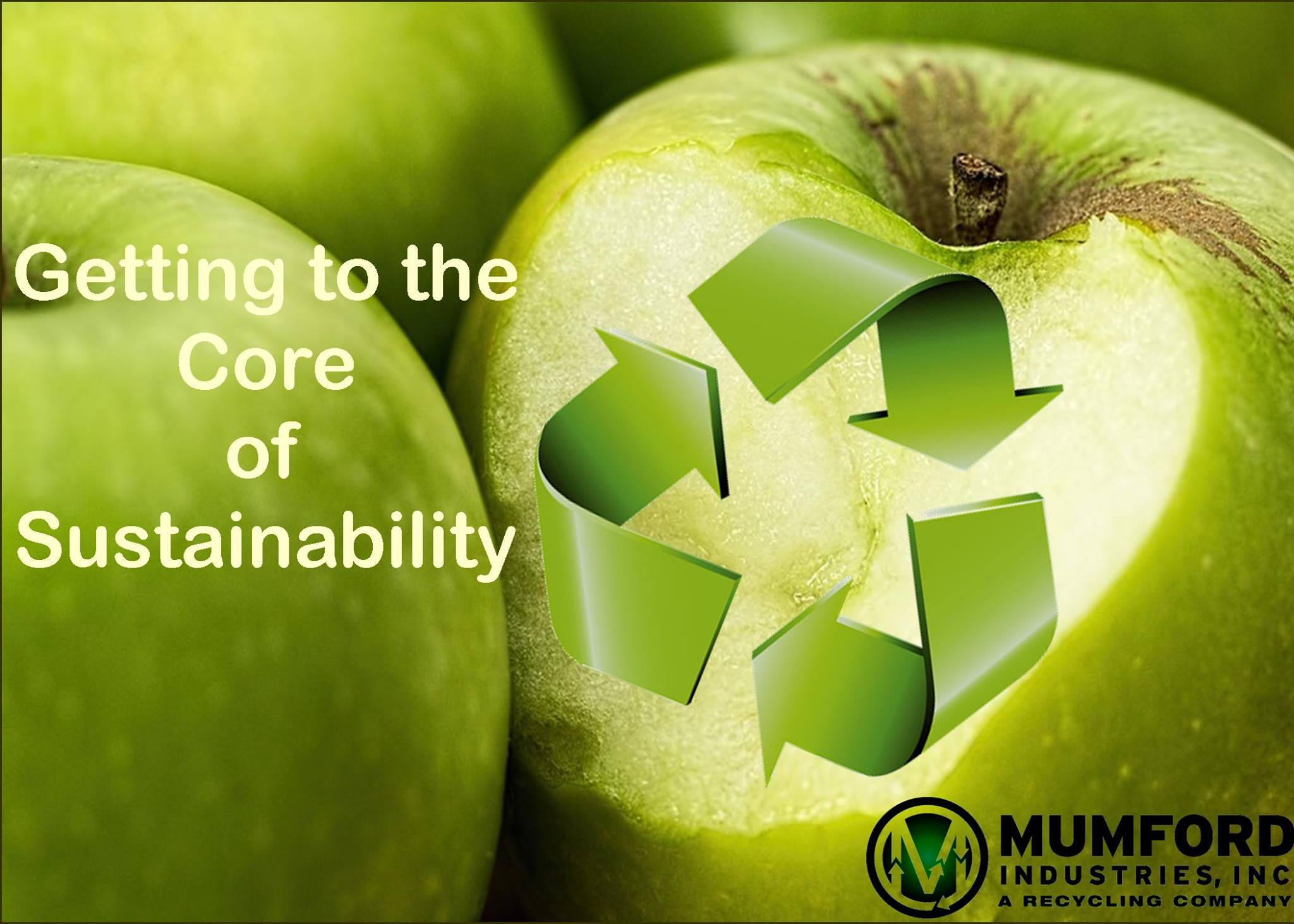 Mumford - The core of sustainability is the ability to be sustainable ...