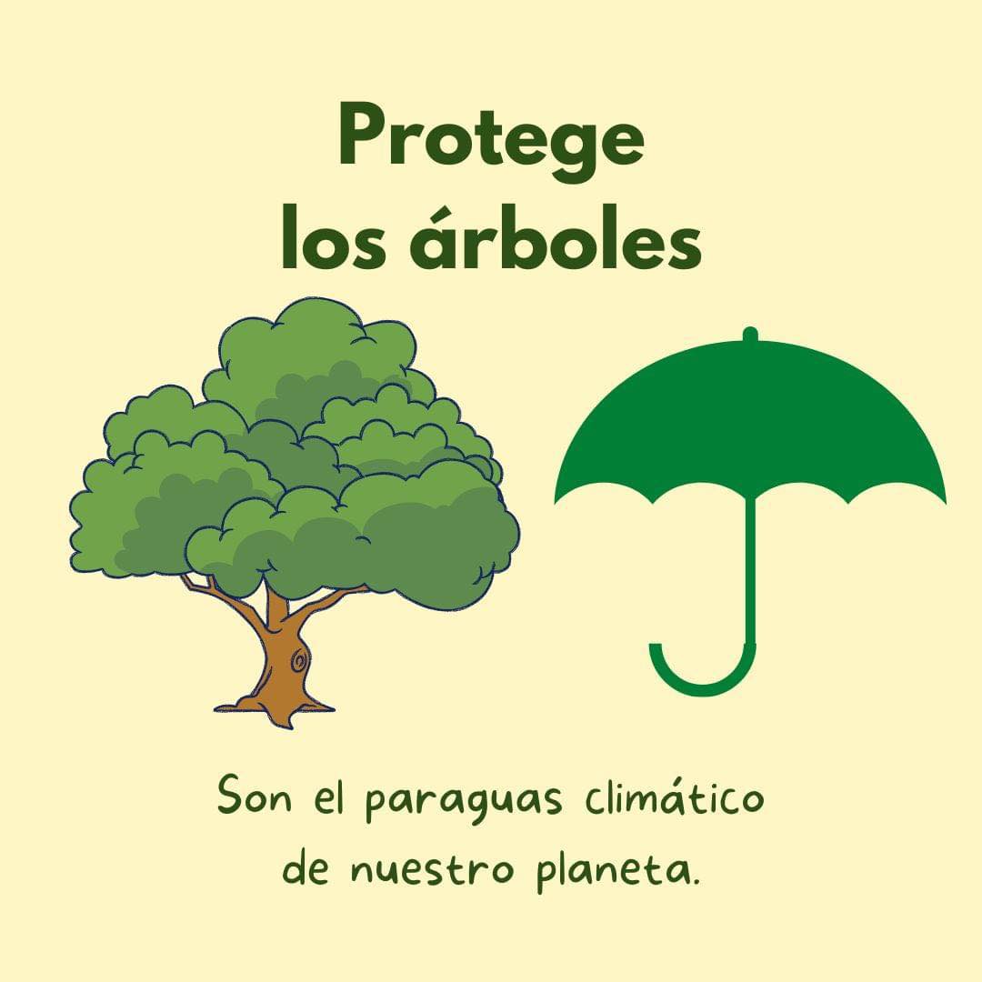 🌳Los árboles son tan... - Partido Verde Piedras Negras