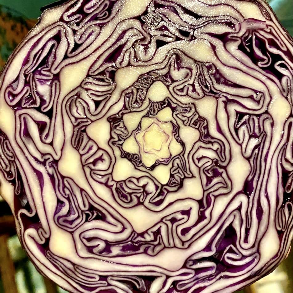 Gateway - This cabbage displays the sacred math of the universe and my ...