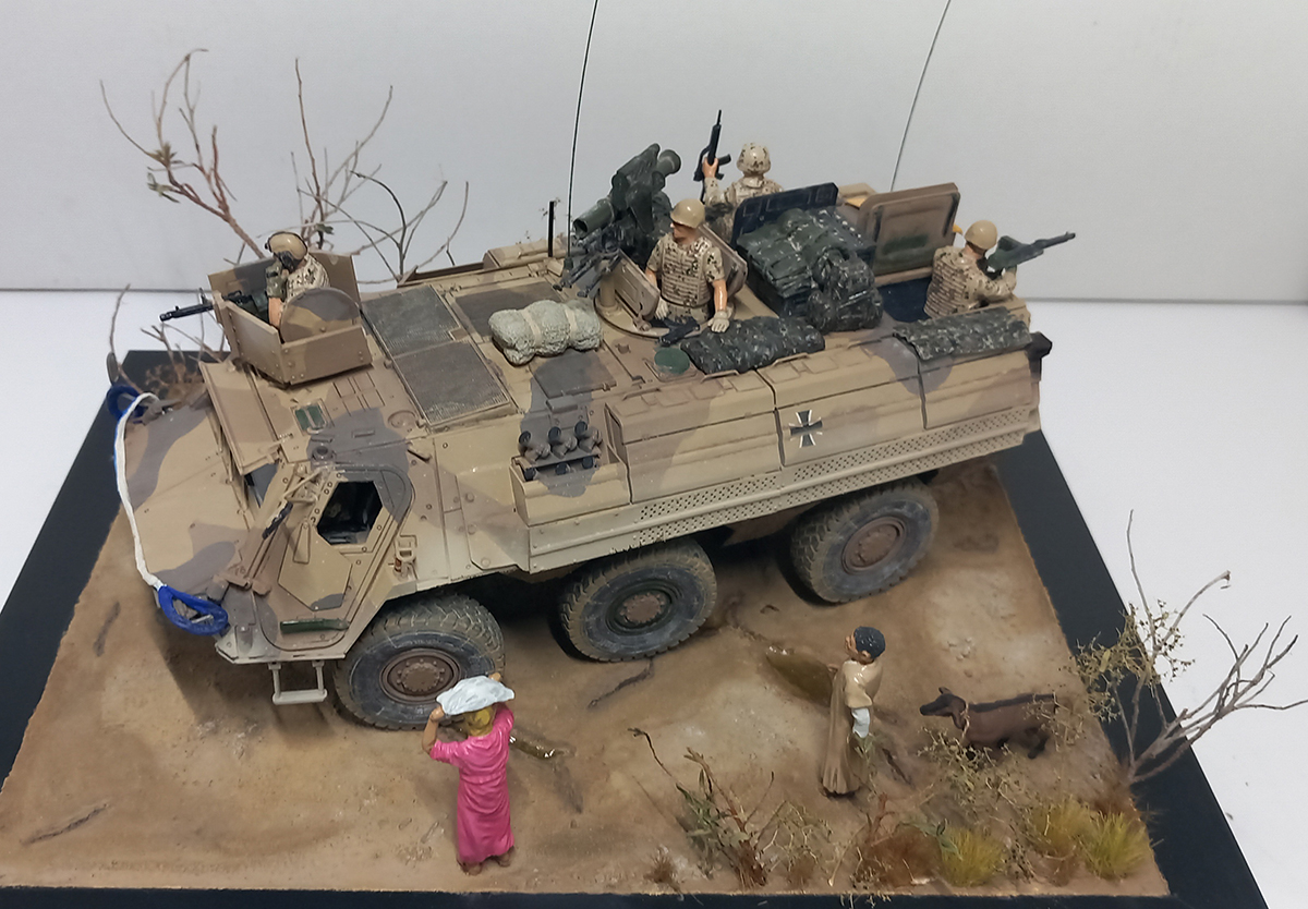 Revell - TPz 1 Fuchs A4 in scale 1:35 built by Hannes...