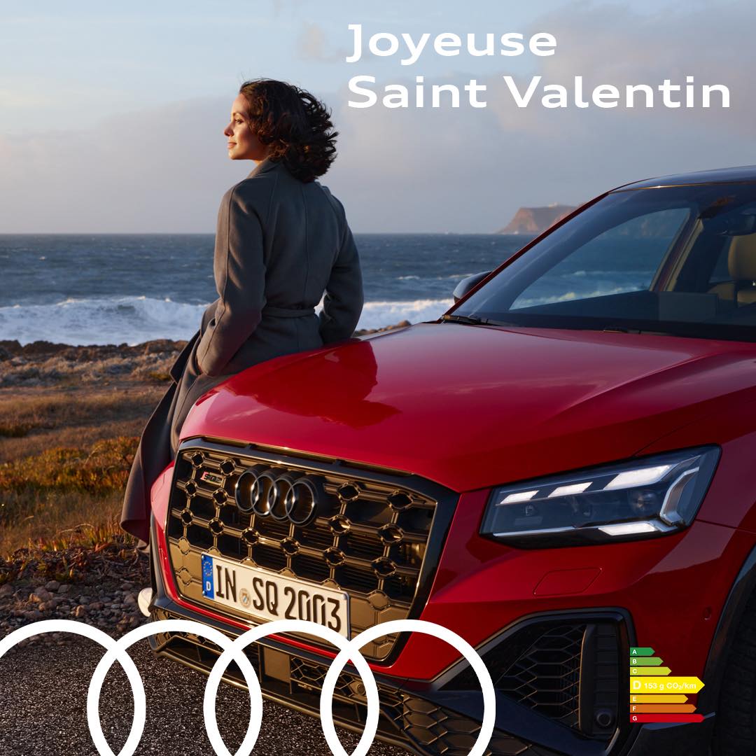 Audi Absolute Sas Les Ulis Groupe Donjon Automobiles