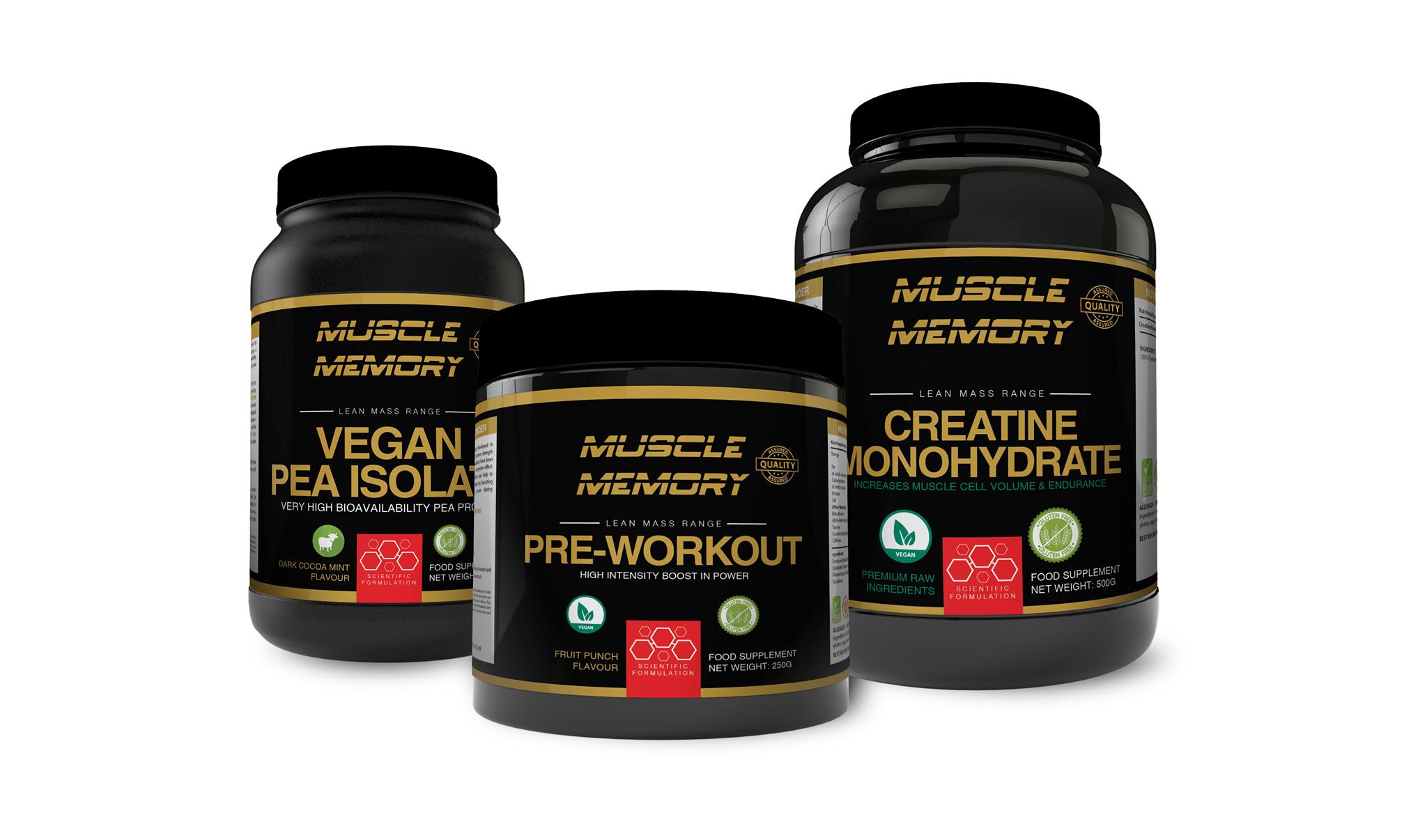 Muscle Memory Supplements