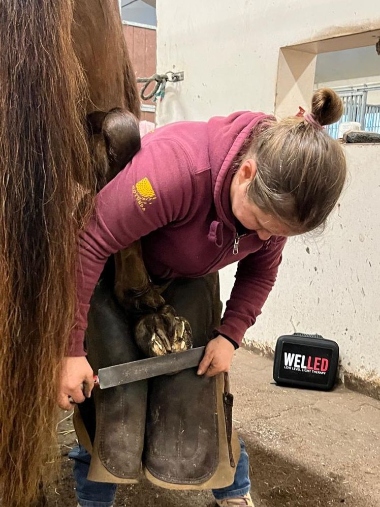 Welled - Kengittäjien työasennoissa selkä joutuu koville. Welled ...