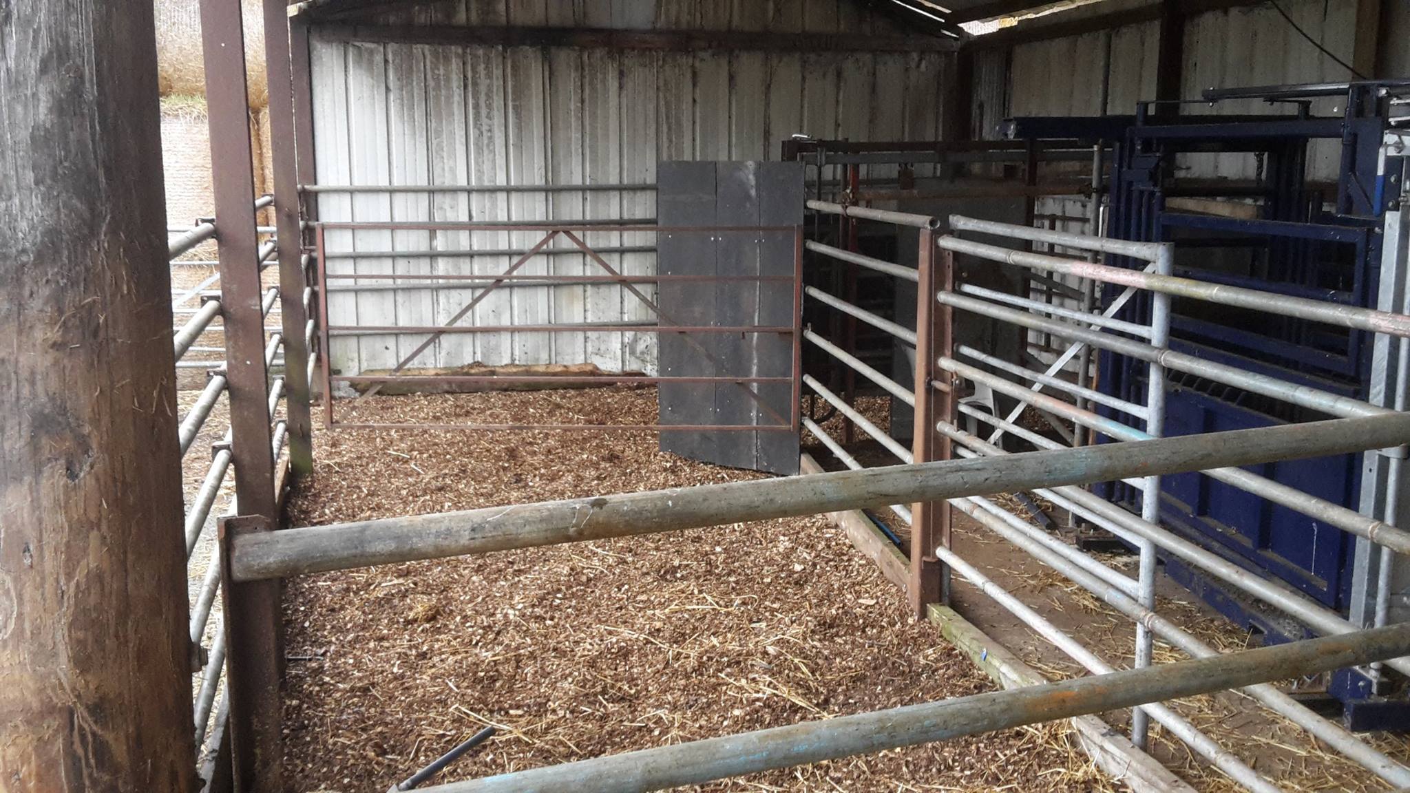 The best handling facilities are... - GSF Livestock Systems