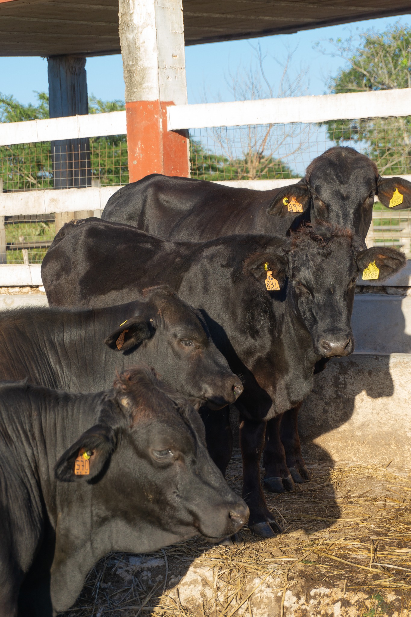 Rancho Santa Elena