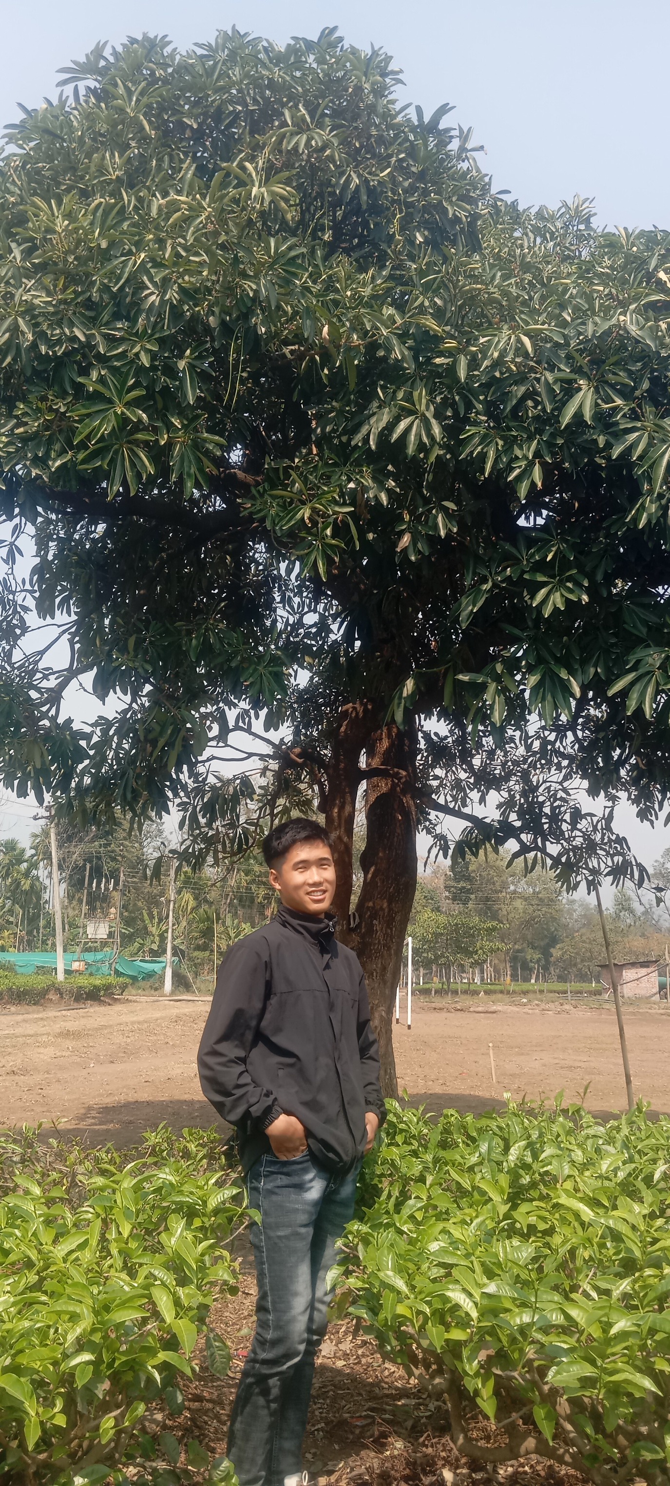 Dipsan Thulung Rai