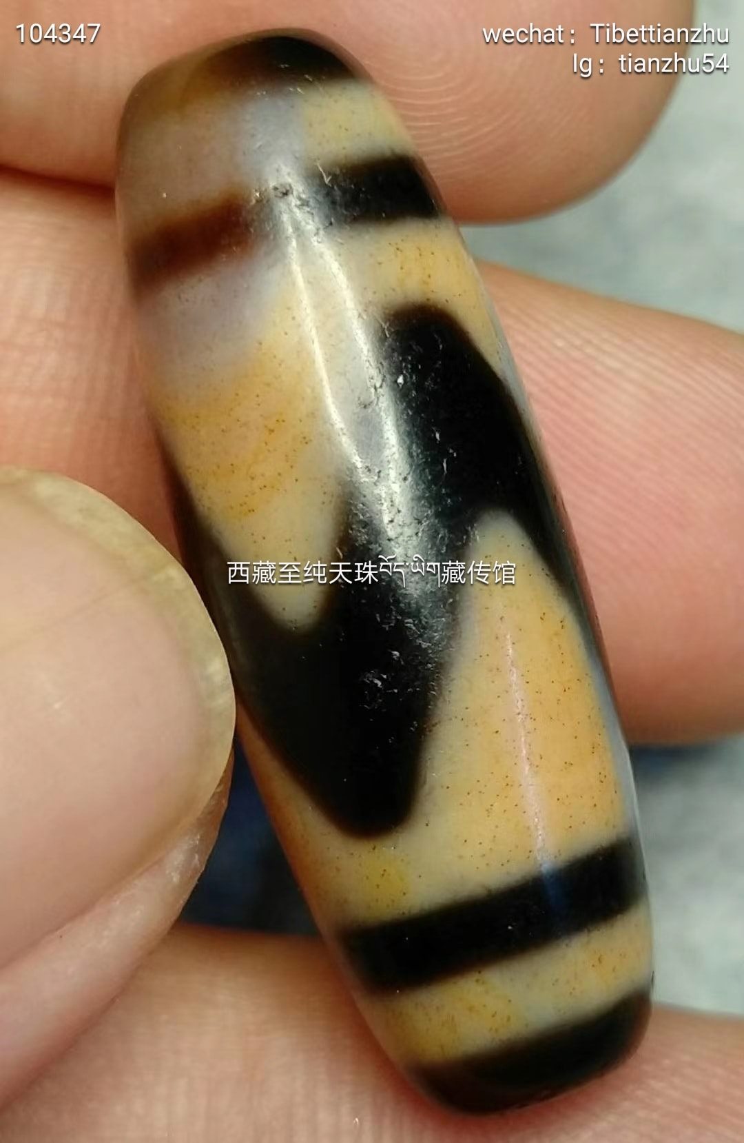 漂亮的红朱砂虎牙天珠，朱砂清晰漂亮尺寸34mm*12 含义：虎牙天珠：虎牙