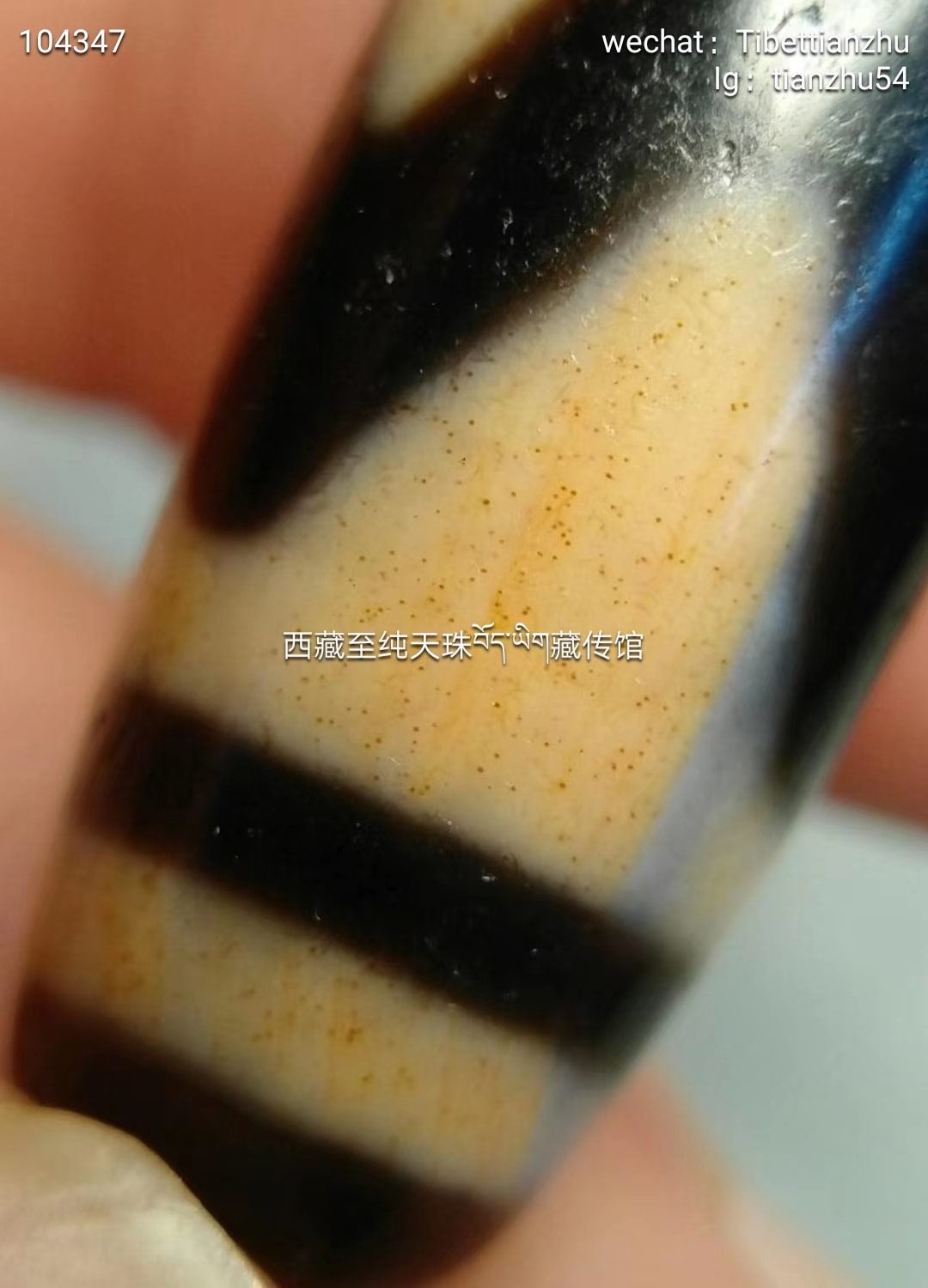 漂亮的红朱砂虎牙天珠，朱砂清晰漂亮尺寸34mm*12 含义：虎牙天珠：虎牙