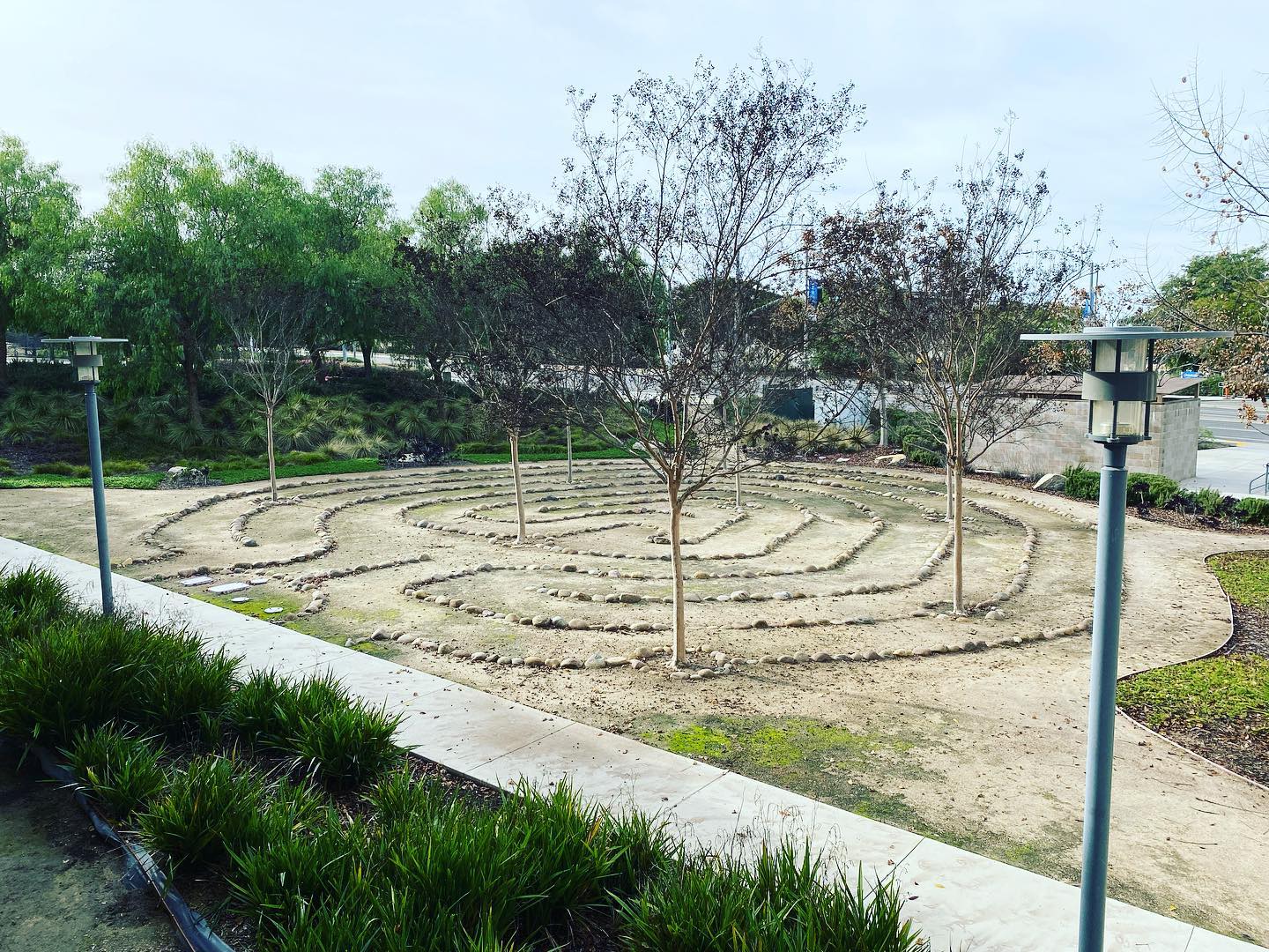 Another special place on campus! The... - CSUSM Volleyball | Facebook