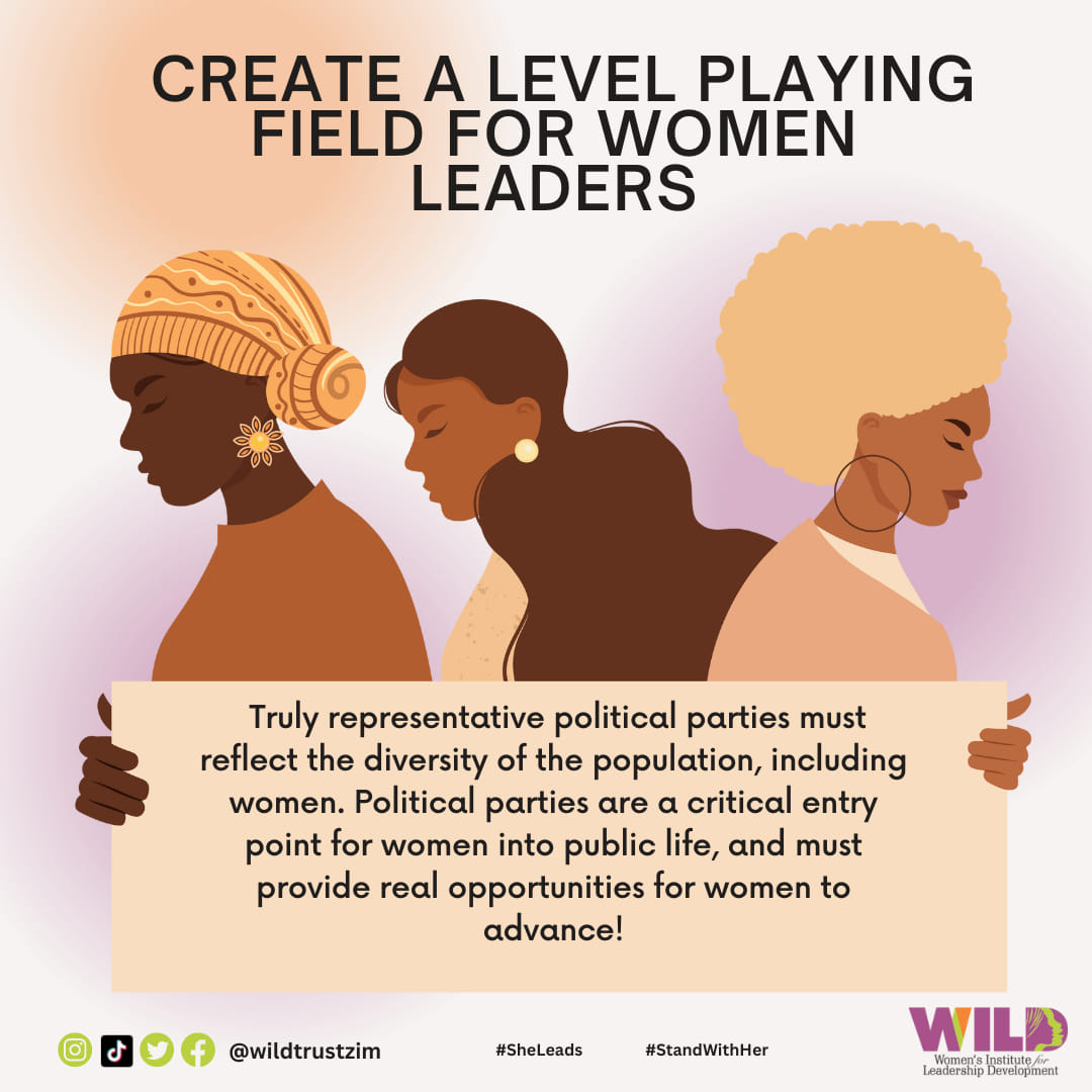 Enhancing Women's political Participation in Africa - WPP_Africa