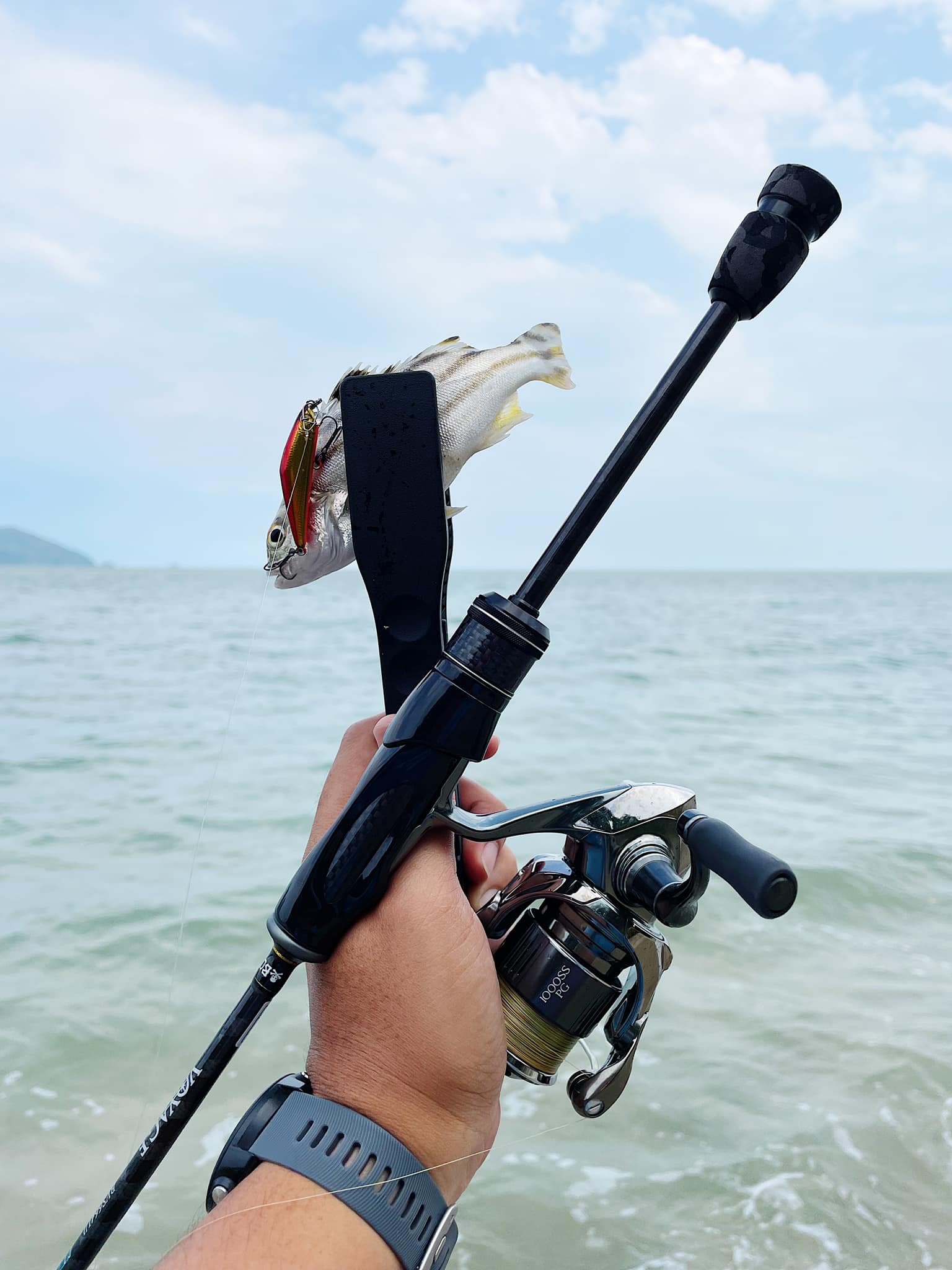 shimano stella 1000 sspg SW C Spinning Reel Twist Fin Shimano STLSW10000PGD Stella SW D