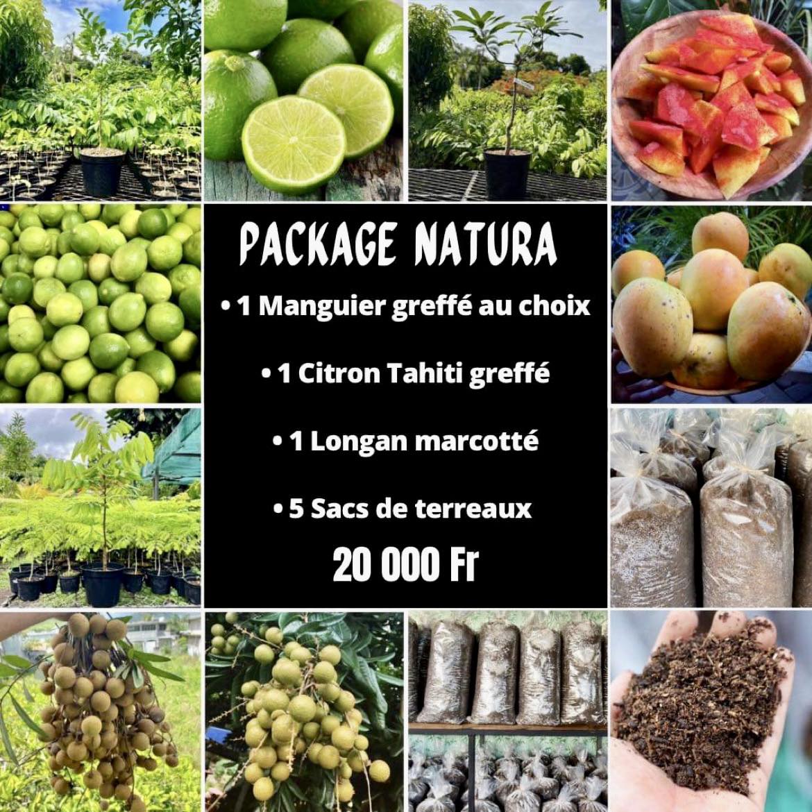 ArtOf Tahiti - 🍋🥭🪴 𝐏𝐀𝐂𝐊𝐀𝐆𝐄 𝐍𝐀𝐓𝐔𝐑𝐀 🪴🍋🥭 𝐓𝐫𝐚𝐧𝐬𝐟𝐨𝐫𝐦𝐞𝐳 𝐯𝐨𝐭𝐫𝐞... | Facebook