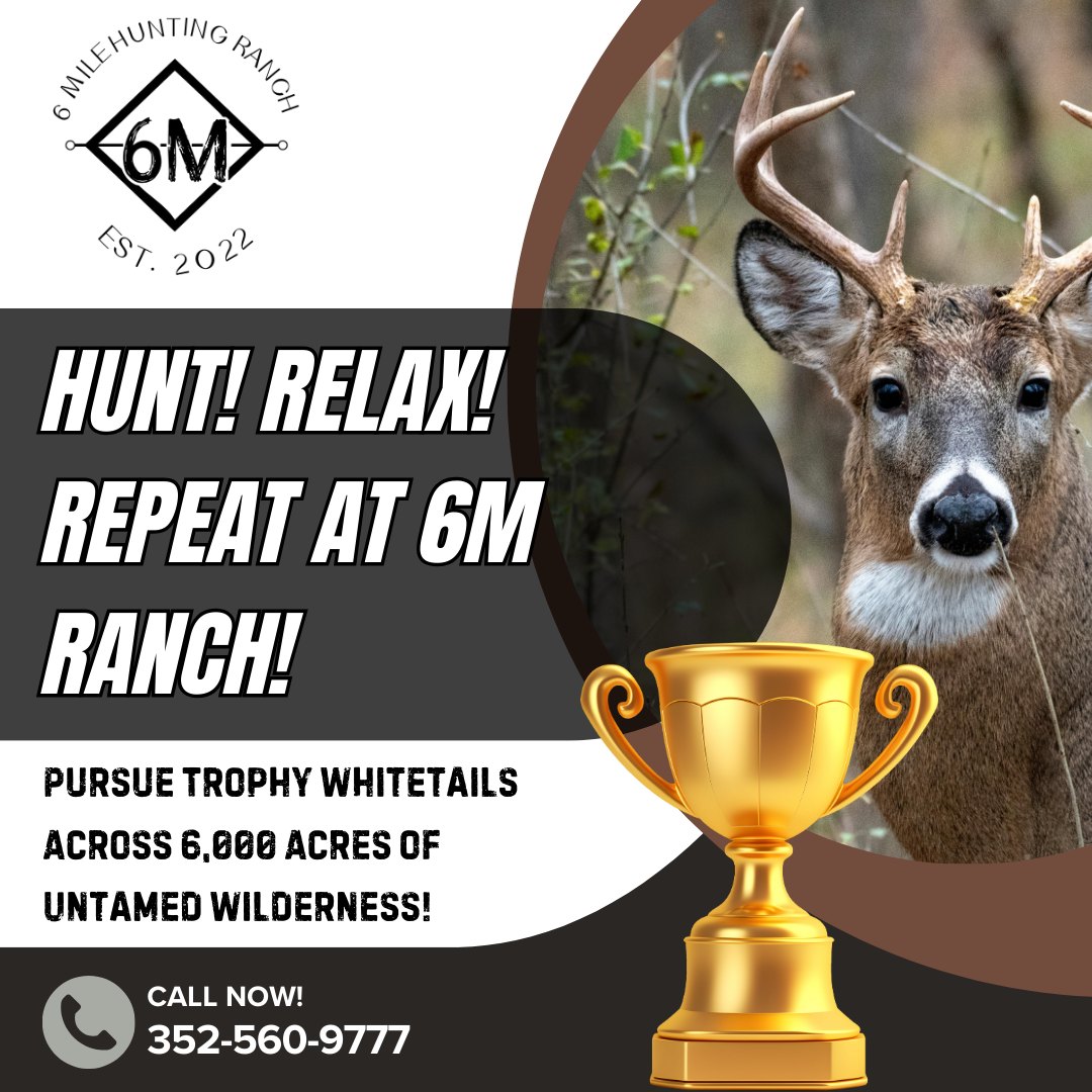 6M - 🏹🦌 The hunt of a lifetime awaits at 6M Ranch! Roam 6,000 acres of ...