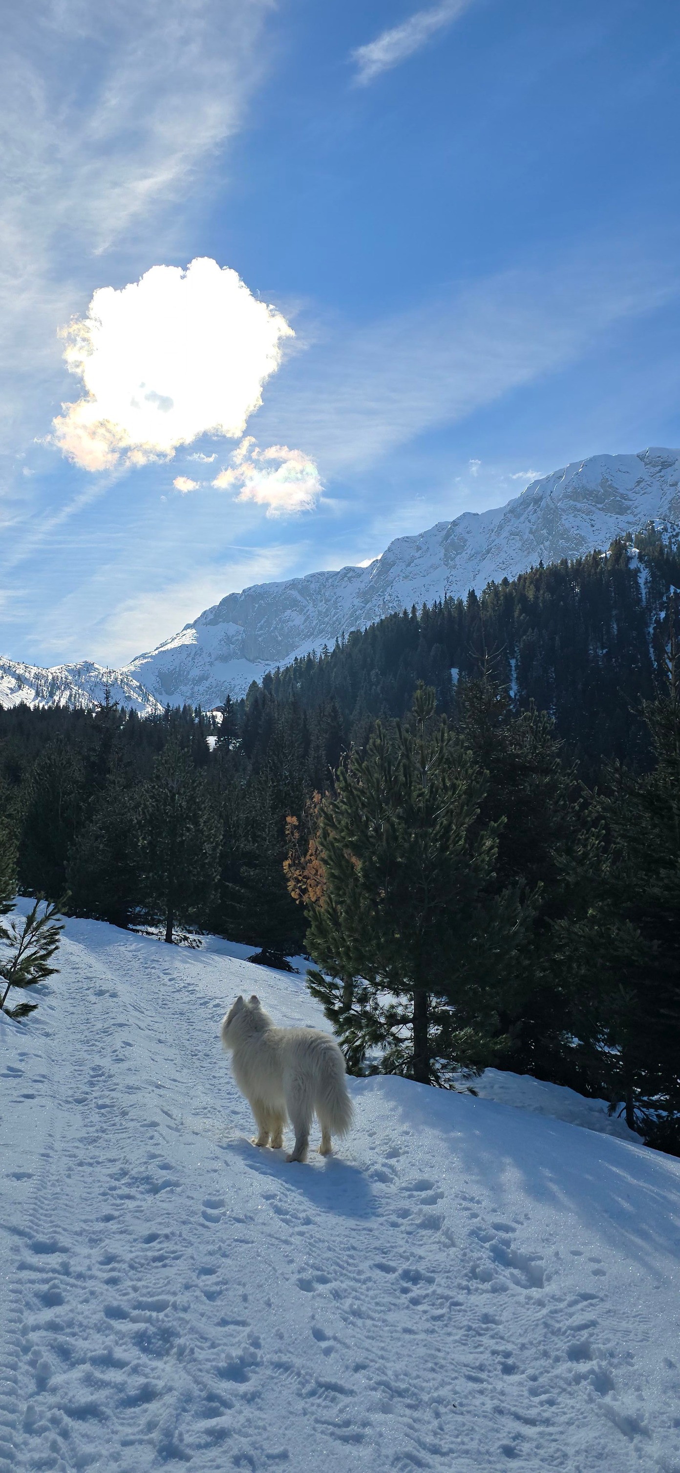 Planinarski i Ski klub 'Hajla' Rozaje | Rožaje