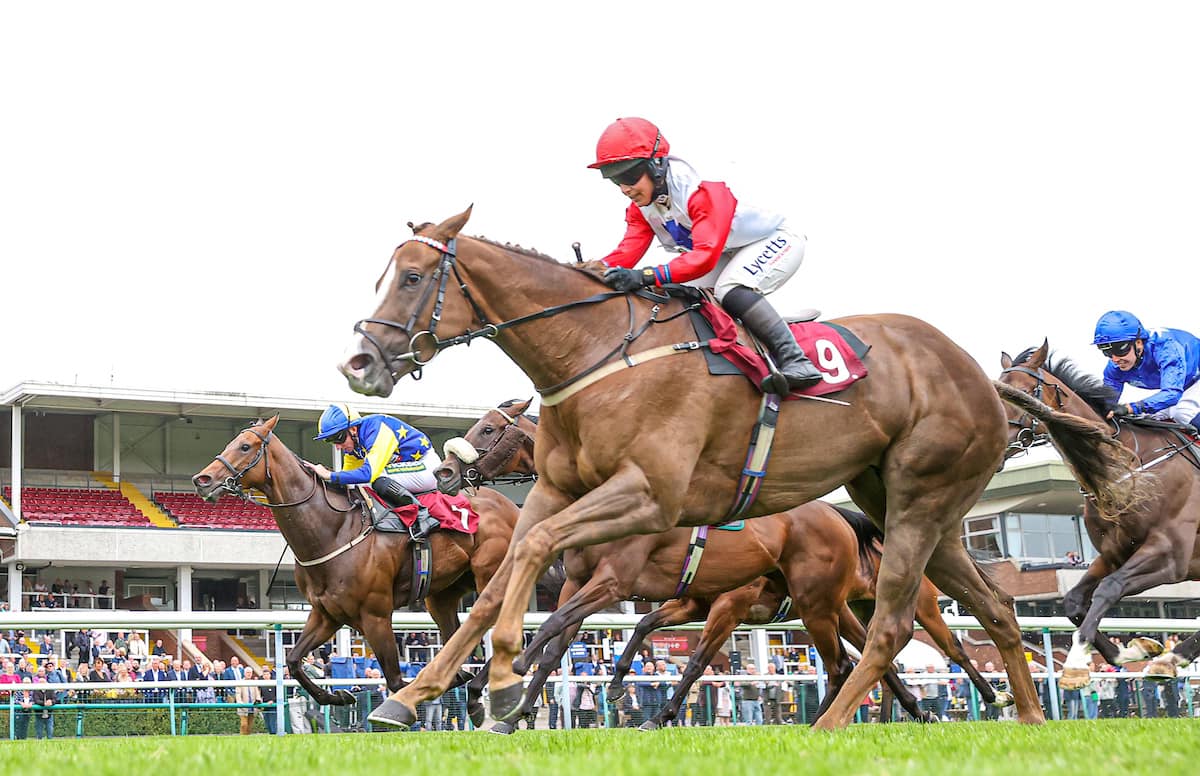 Good Luck Jim Goldie Racing - Hamilton Park Racecourse | Facebook