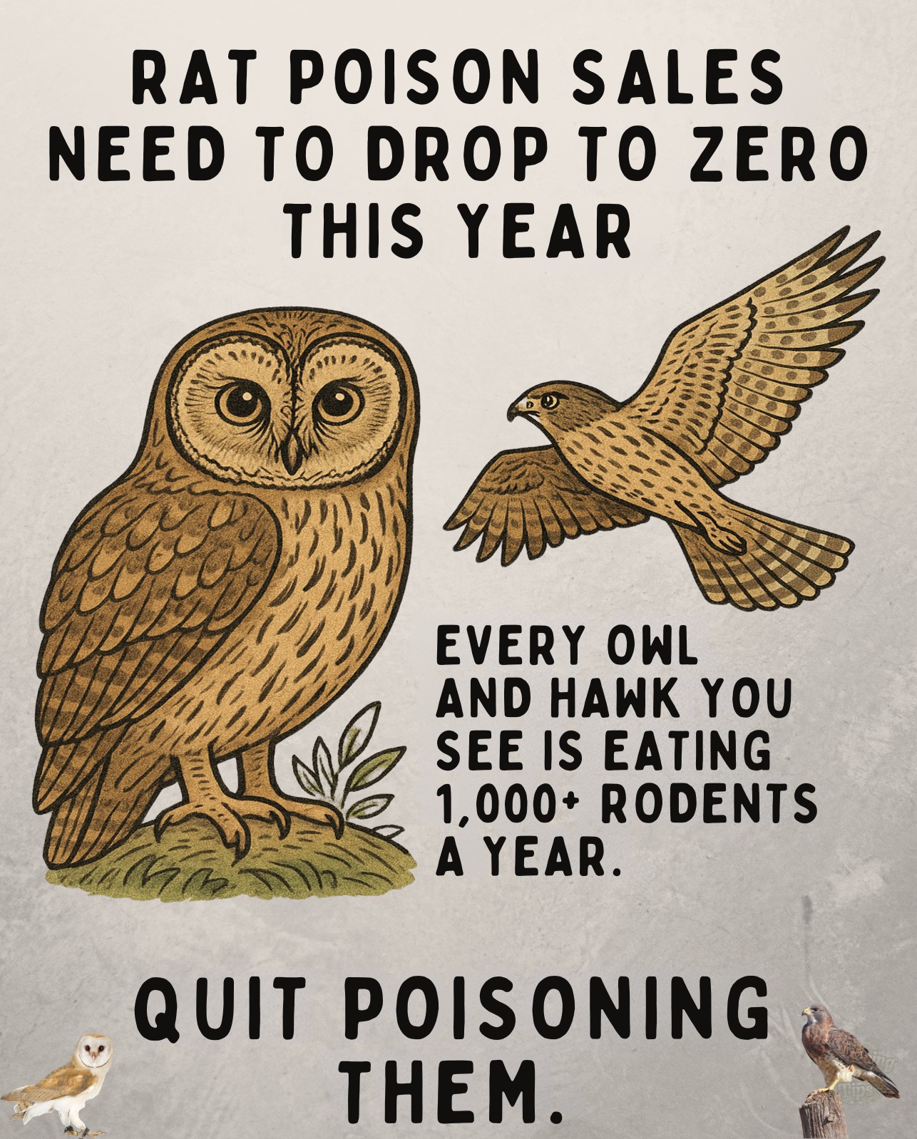 Gardening - 🦉 One owl or hawk can eat over 1,000 rodents a year—nature ...