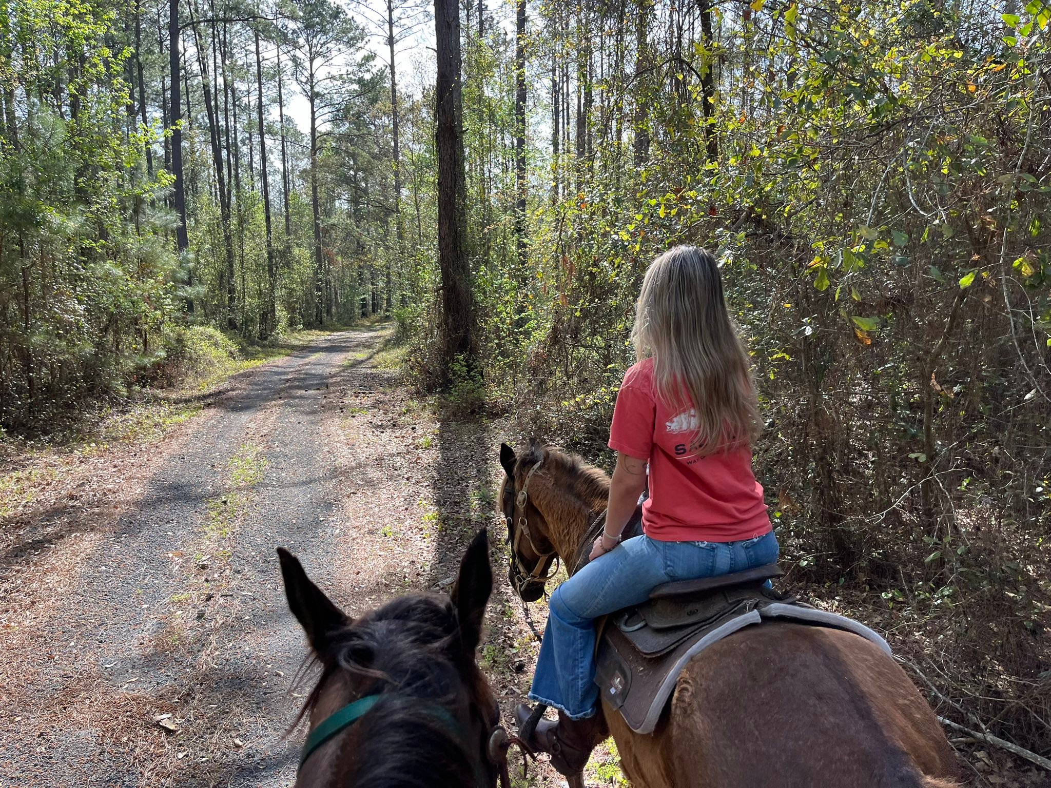 Batton Family Ranch | Keystone Heights FL