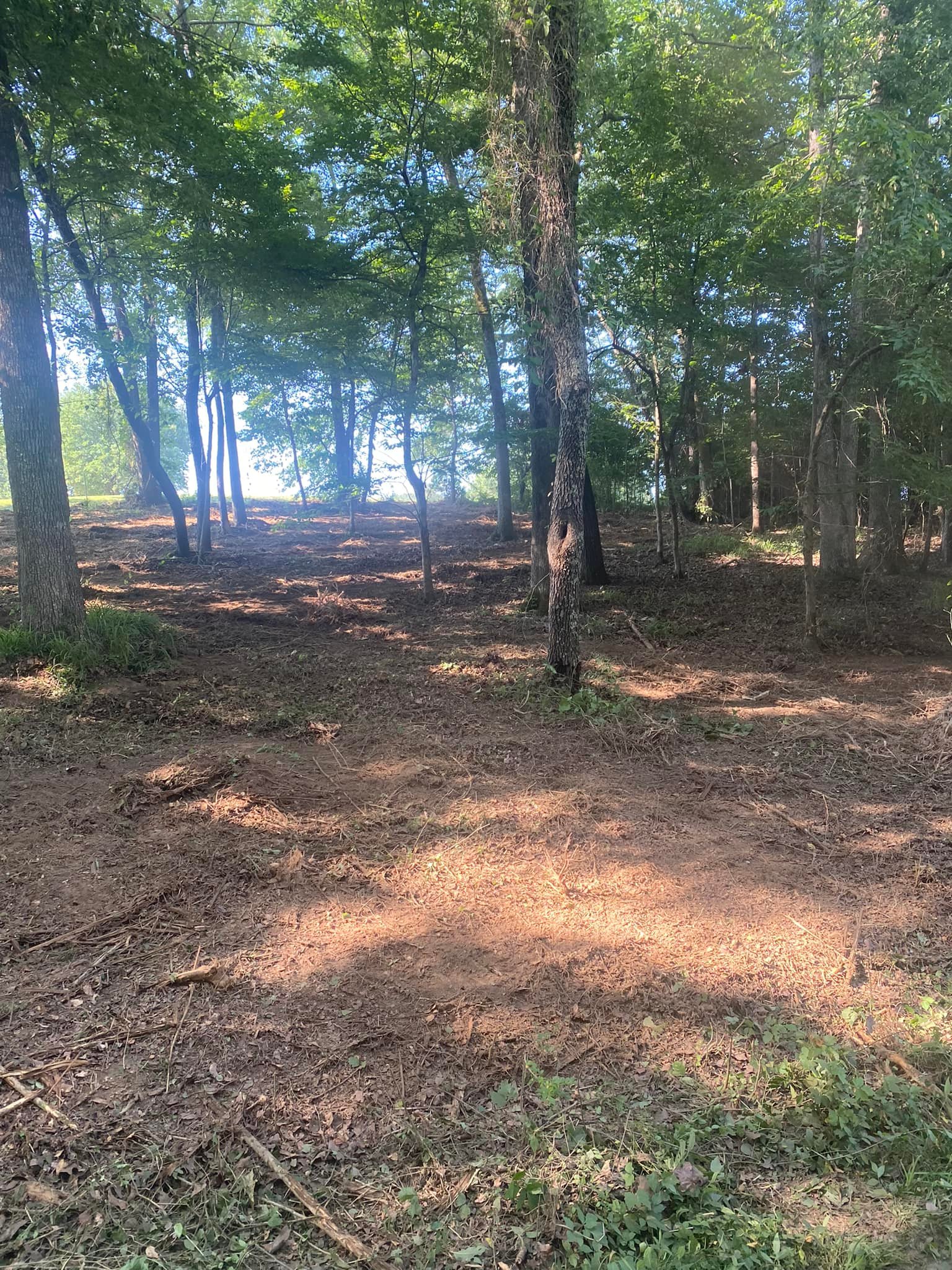 Toland Shipp, LLC | Little Rock AR