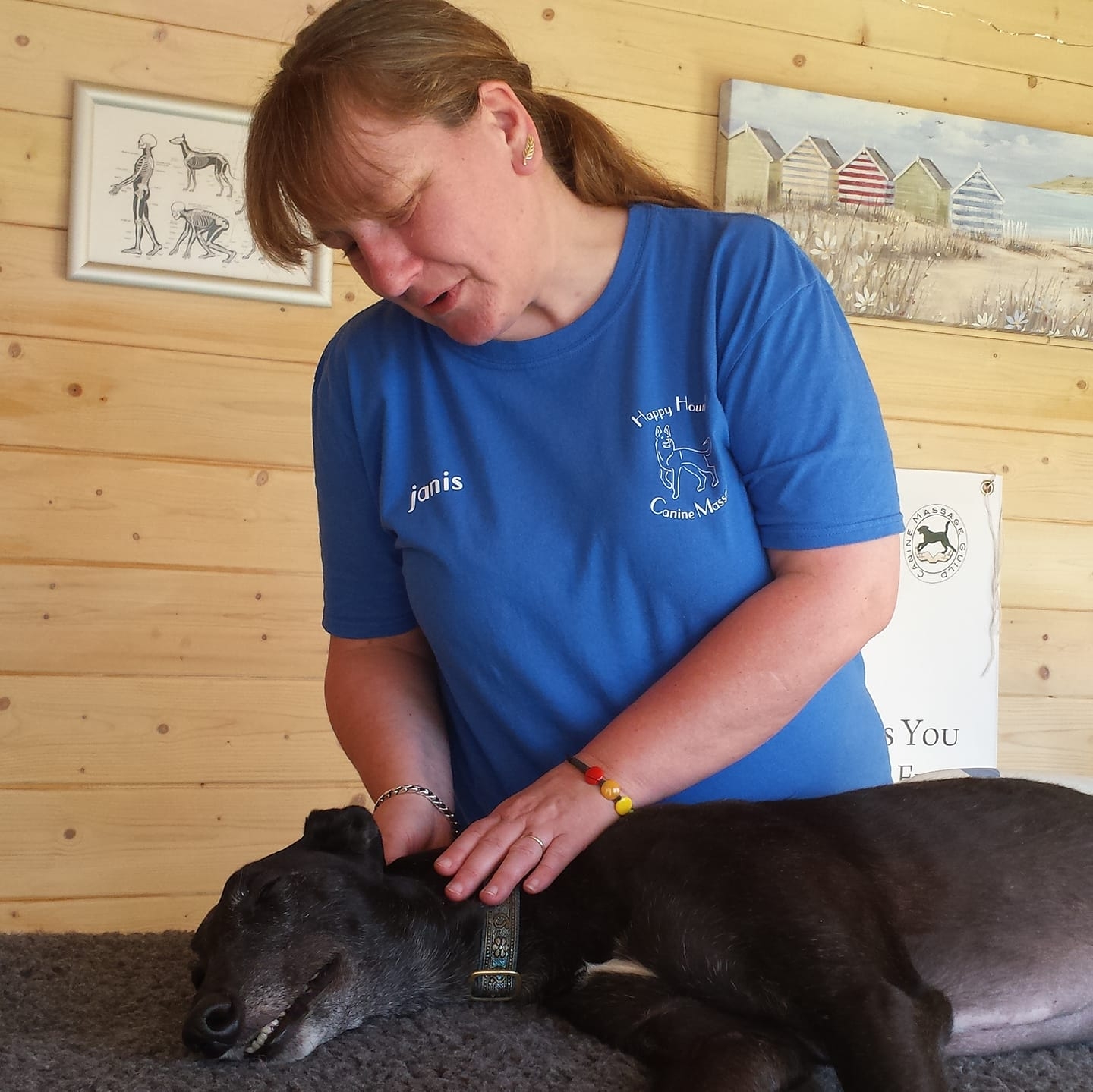 Happy Hound Canine Massage... - Happy Hound Canine Massage