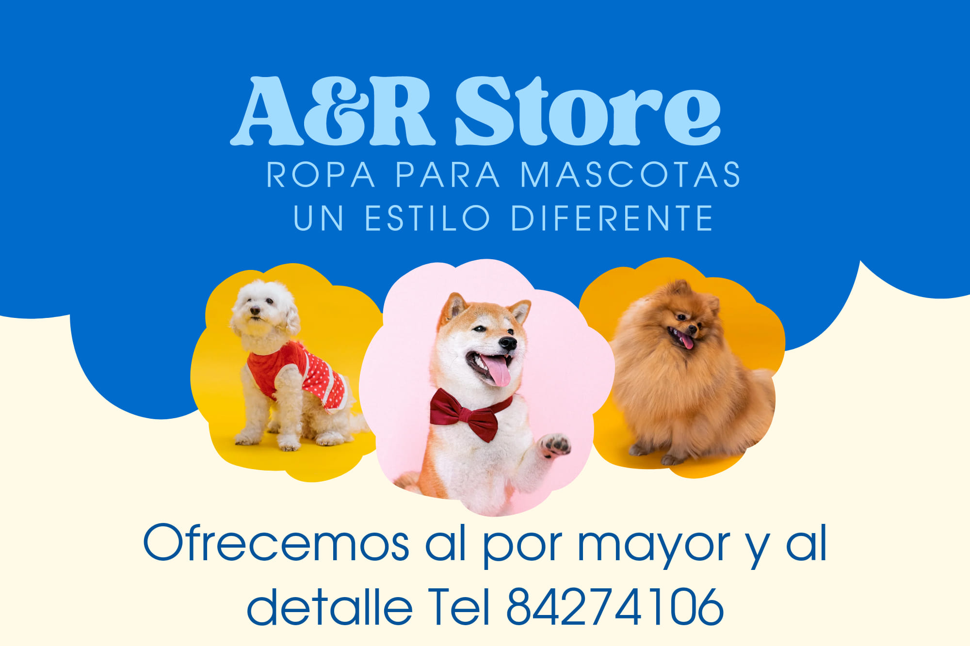 A & R Store | San José