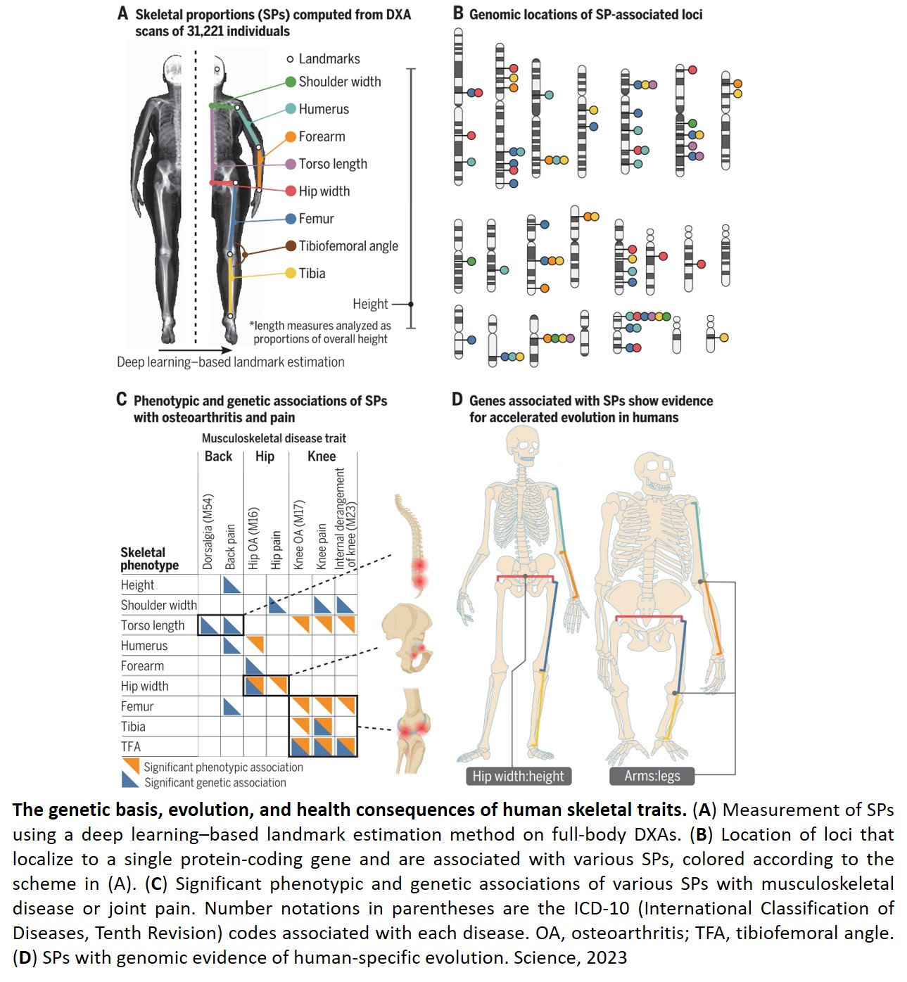 Science Mission - The genetic architecture of the human... | Facebook