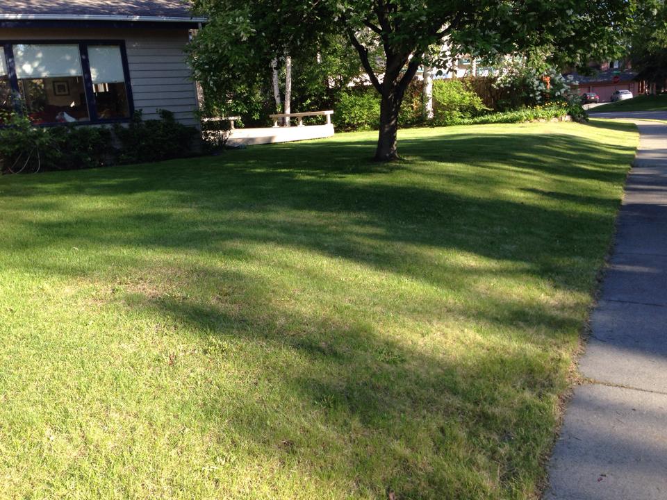Professional Landscaping & Snow Removal Services | Anchorage AK