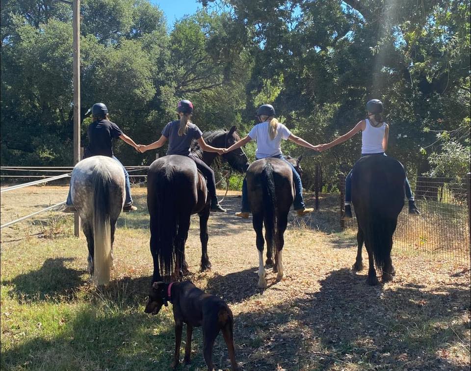 MoonRock Ranch | Roseville CA