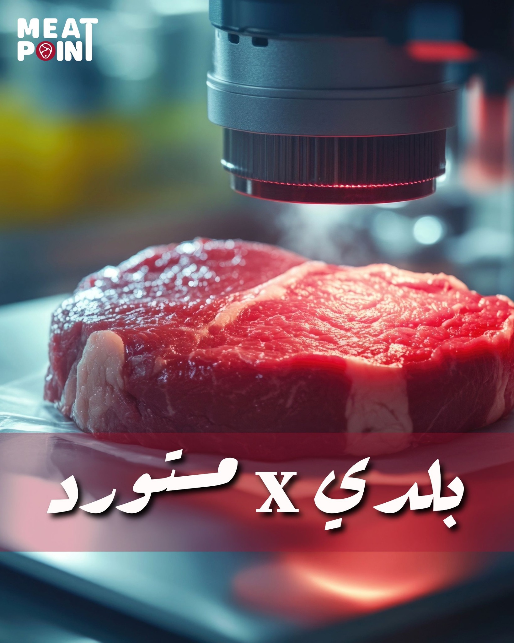 MEAT POINT | El Shikh Zaid