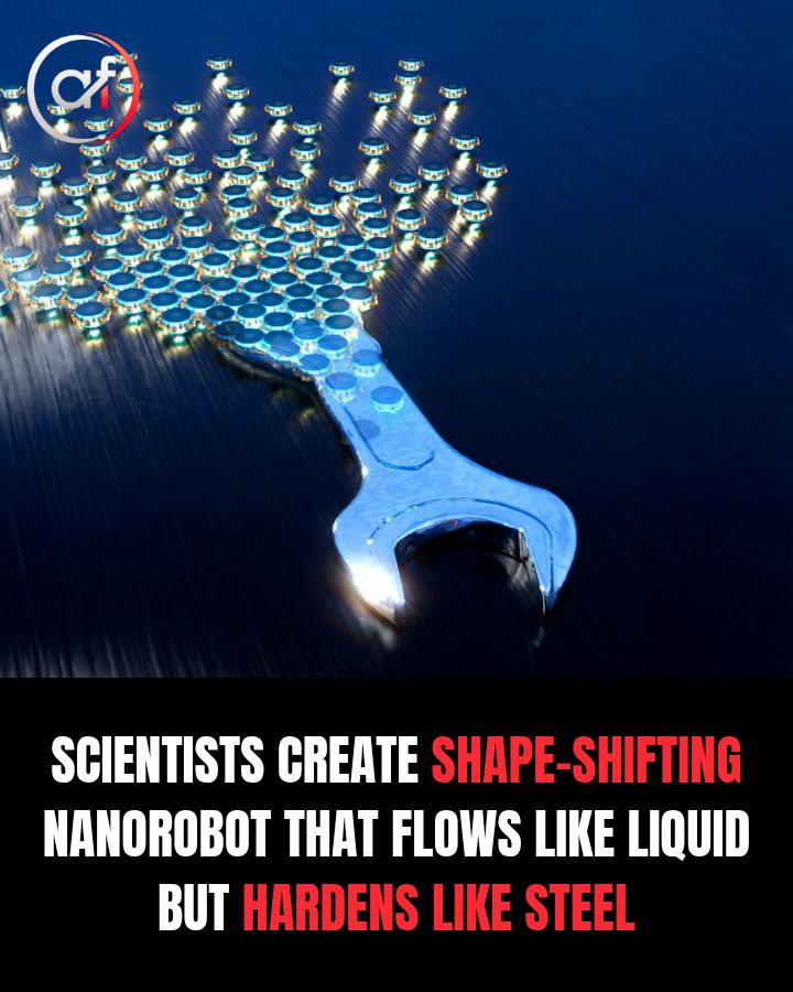 Robotic material shifts between rigid and fluid states