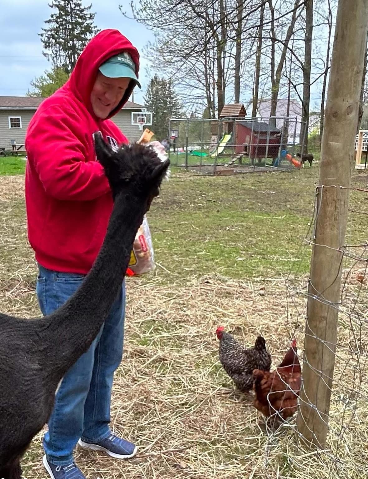 Here is the update on our silly and... - Allegheny Nesting | Facebook