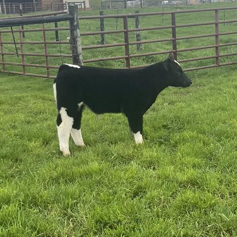 RVC Farms | Cedarville OH